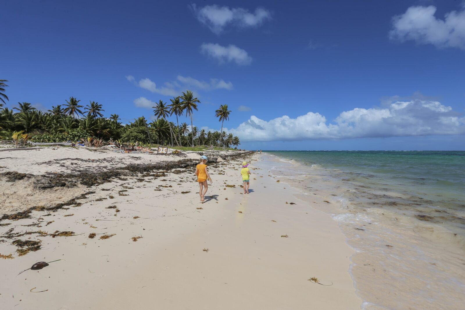 Canon EOS 6D + Canon EF 17-40mm F4L USM sample photo. Dominican republic, sargisova sea photography