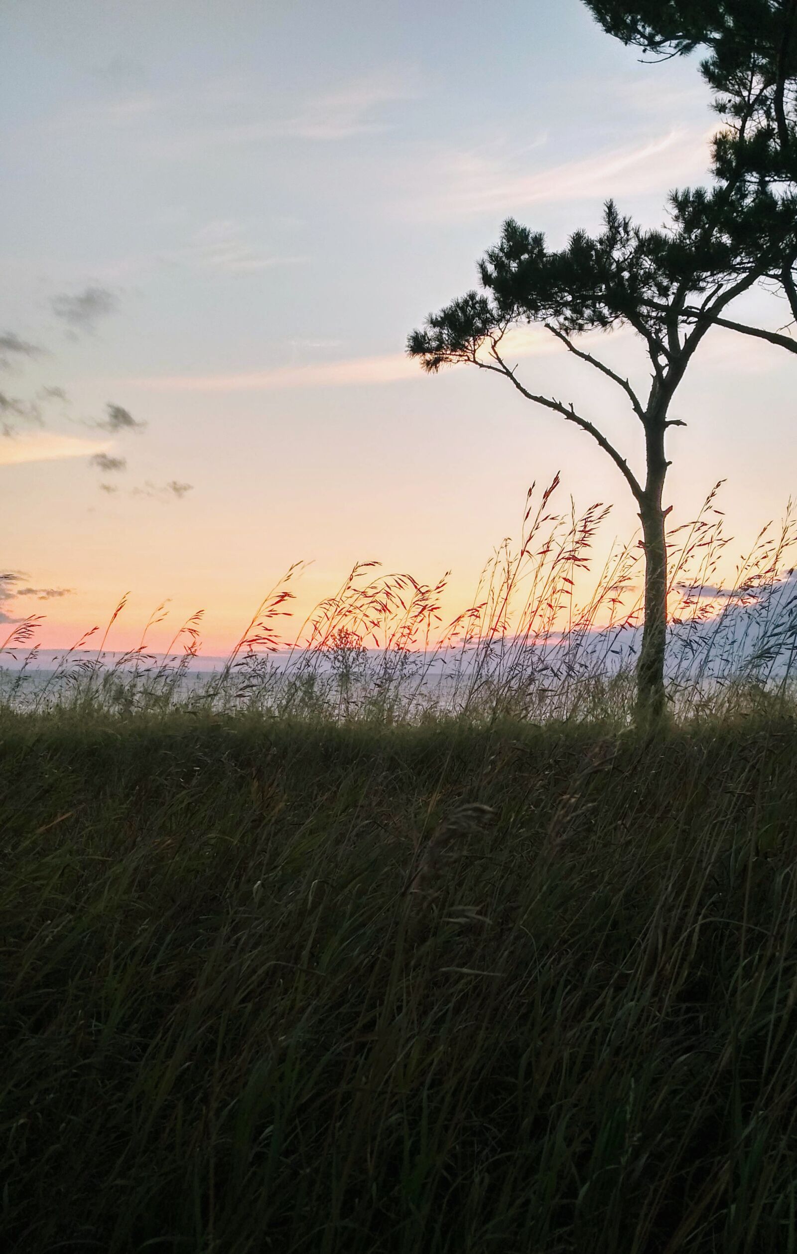 Xiaomi Redmi 4X sample photo. Nature, sunset, sky photography