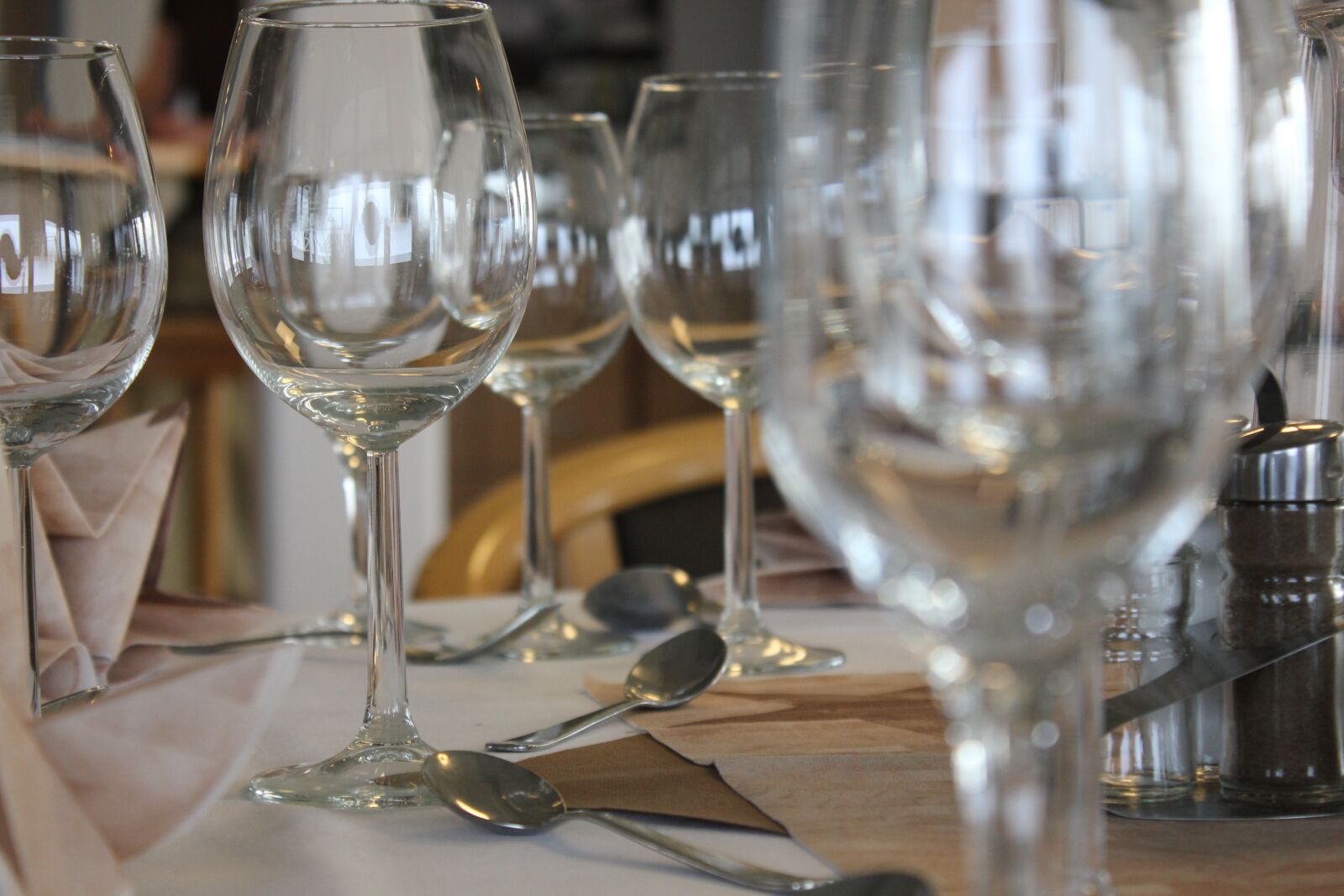 Canon EOS 550D (EOS Rebel T2i / EOS Kiss X4) sample photo. Wine, glass, cover photography