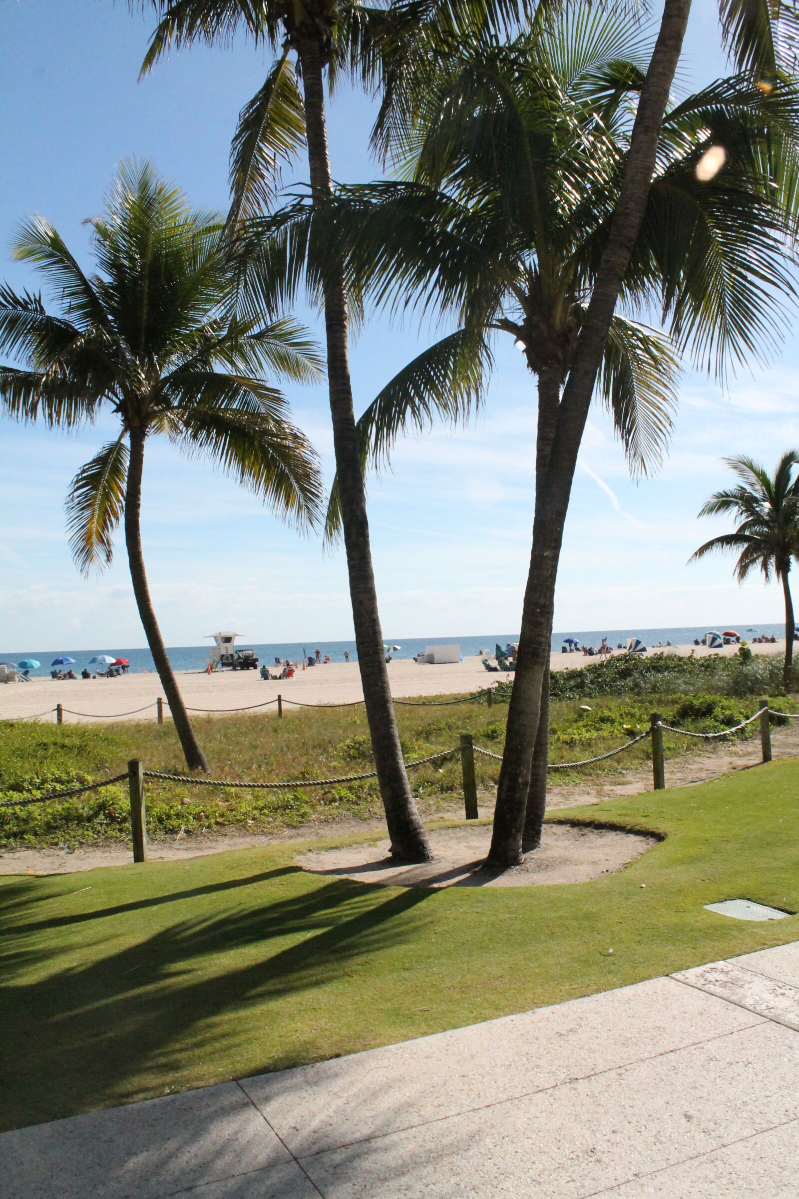 Canon EOS 1100D (EOS Rebel T3 / EOS Kiss X50) sample photo. Palm, vacancy, beach photography