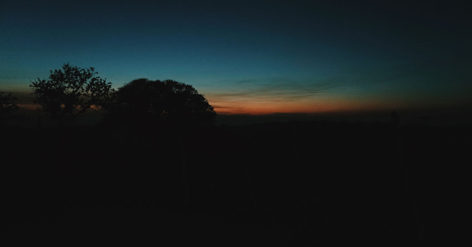Sony a6300 sample photo. Silhouette, trees, against, sky photography