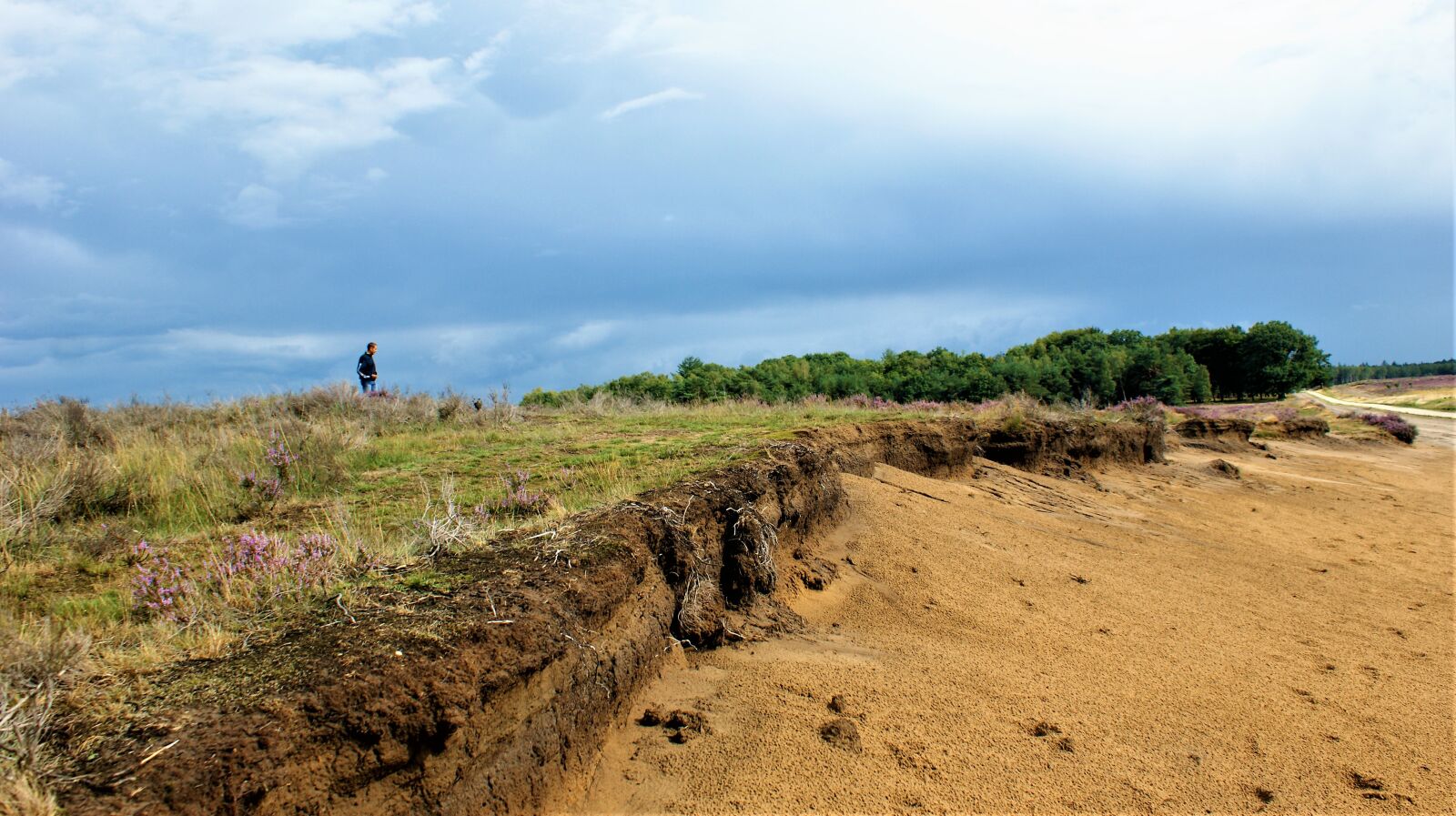 Sony Alpha DSLR-A350 sample photo. Person, heideveld, rain photography
