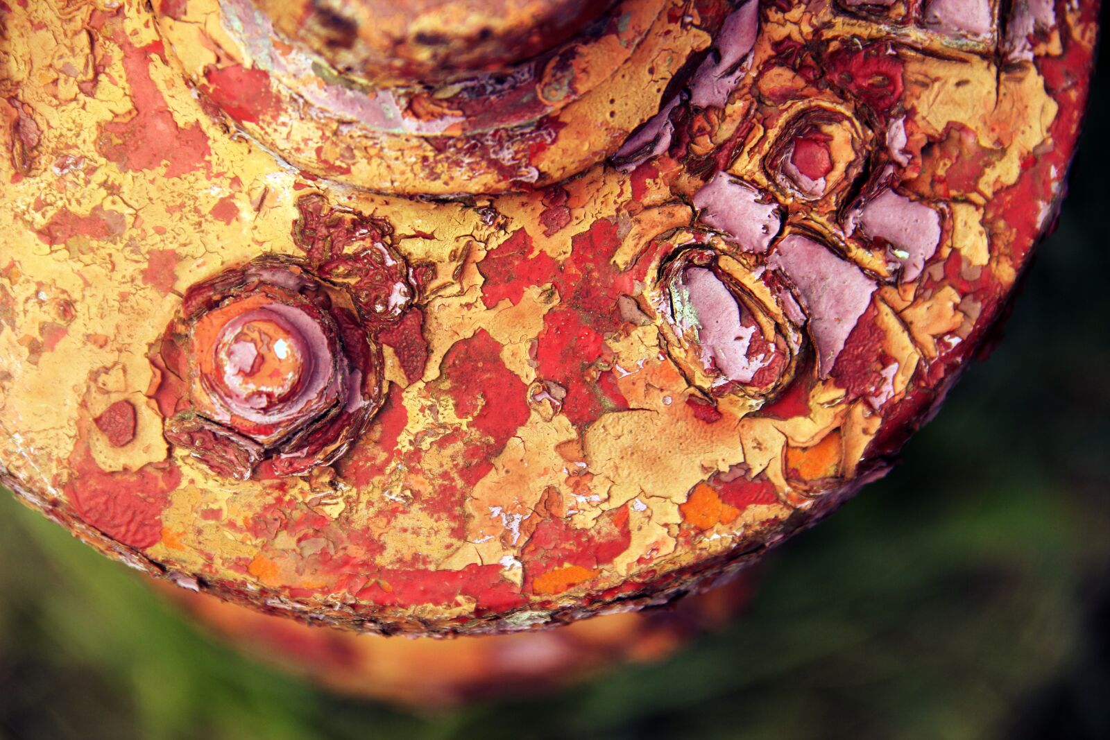 Canon EOS 60D sample photo. Decay, old, paint photography