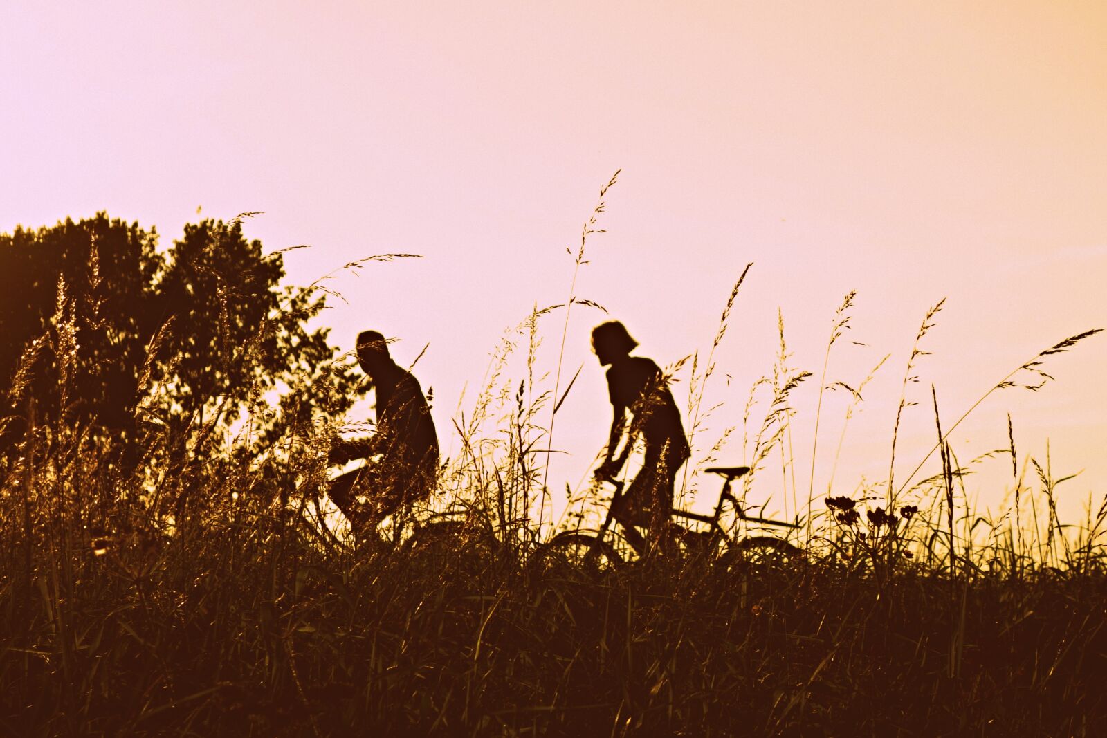 Sony Cyber-shot DSC-RX100 sample photo. Bicycle, cyclist, biking photography