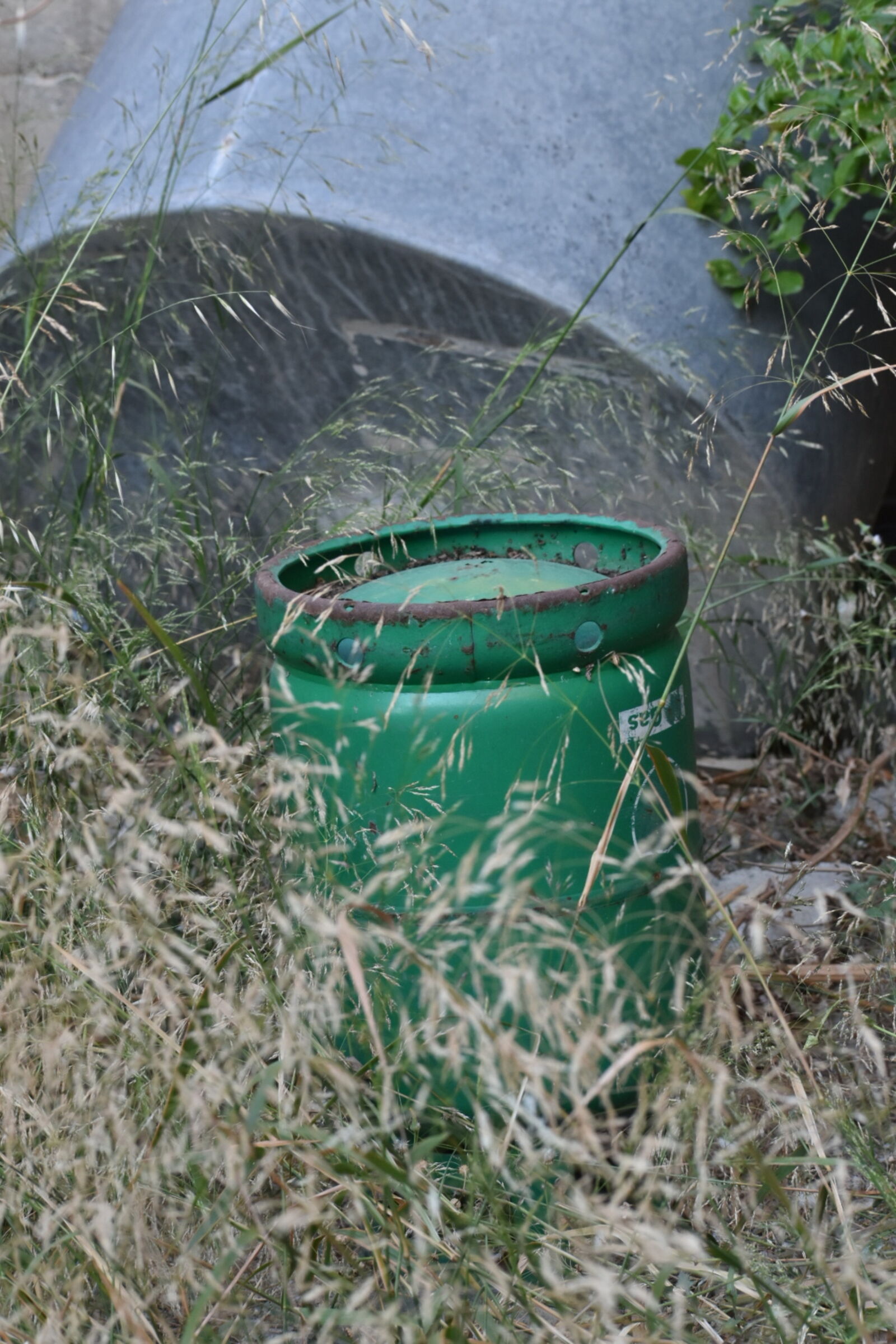Nikon D5600 sample photo