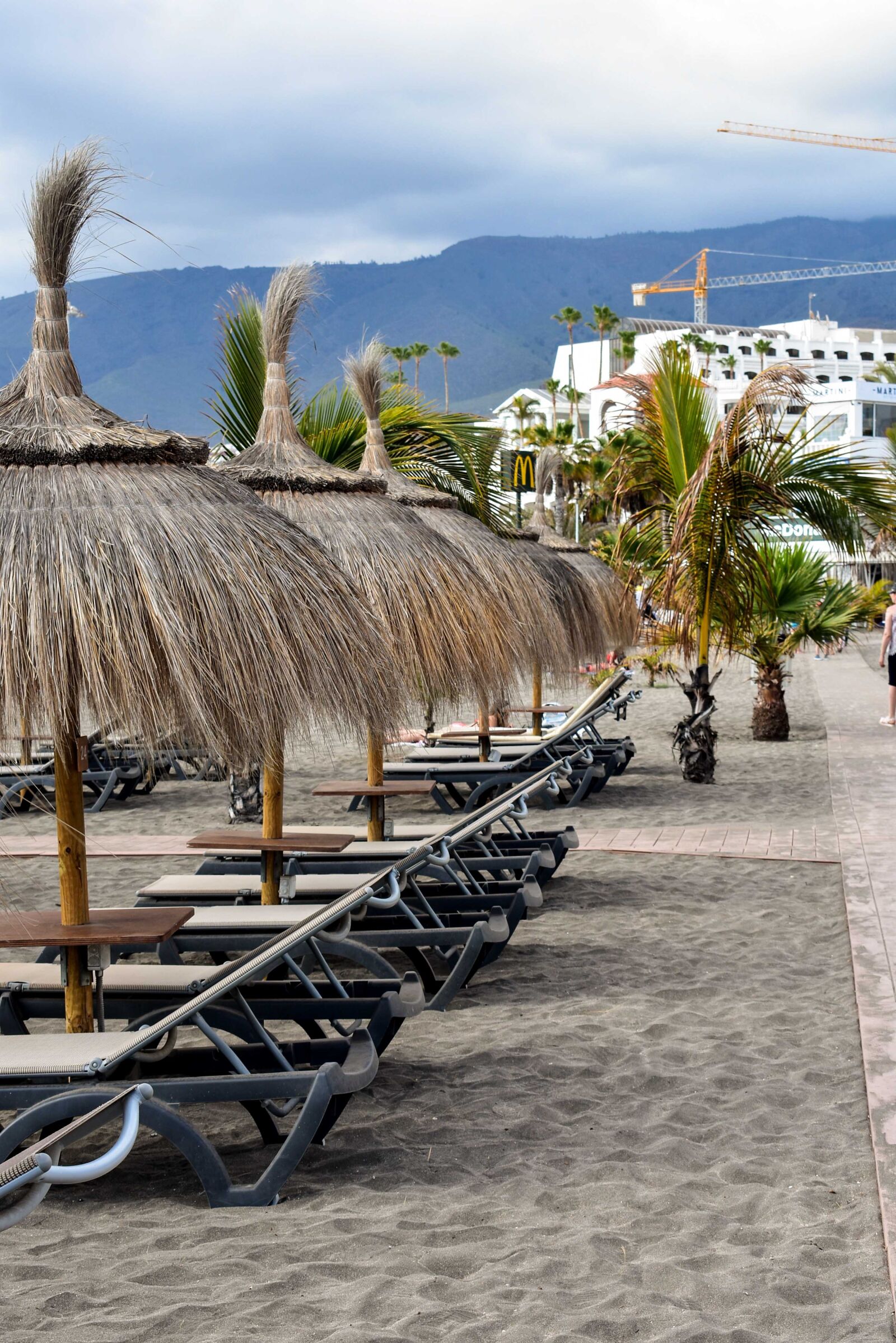 Nikon D3400 sample photo. Tenerife, palm, beach photography