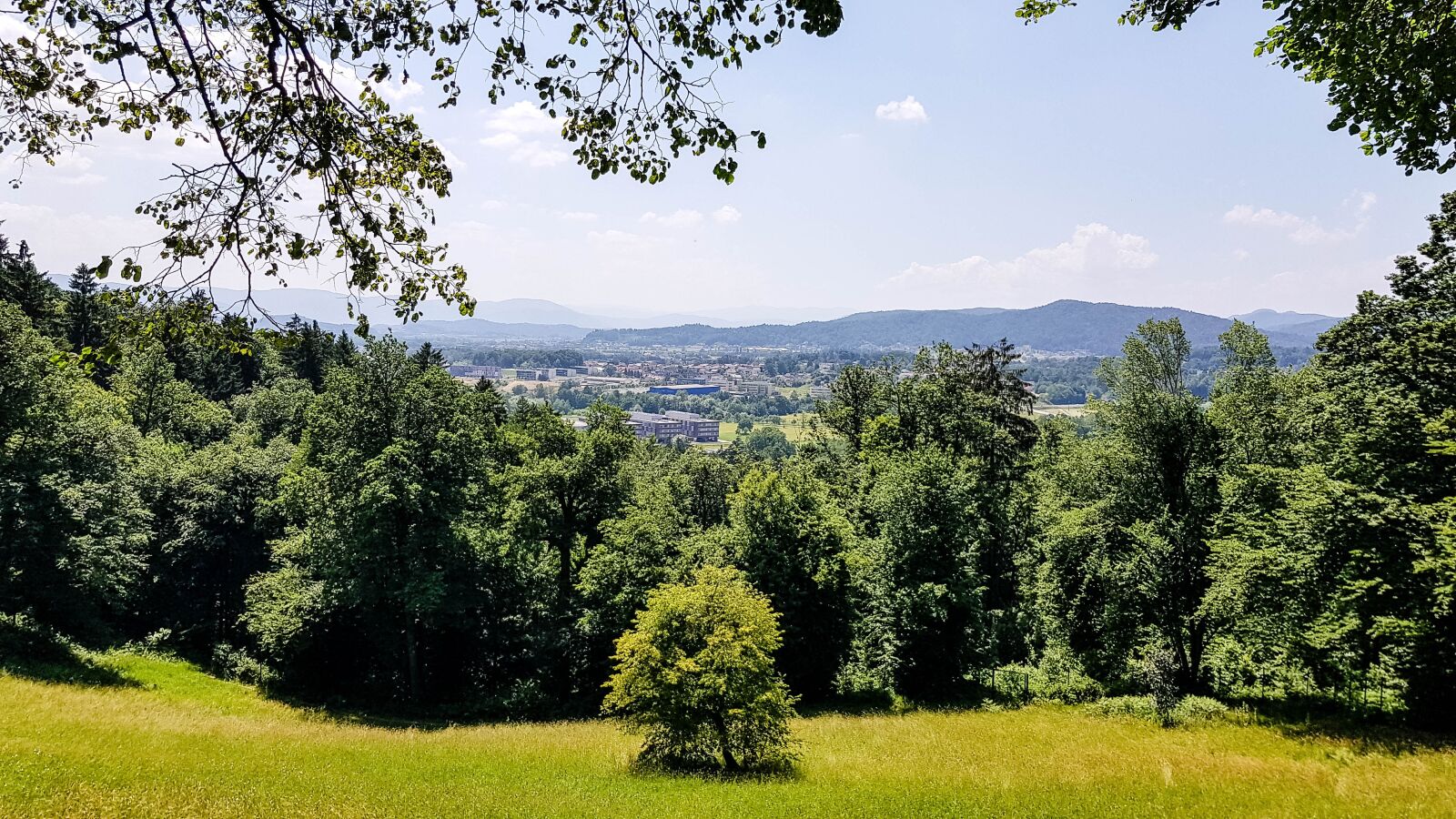 Samsung Galaxy S8 sample photo. Ljubljana, slovenia, forest photography