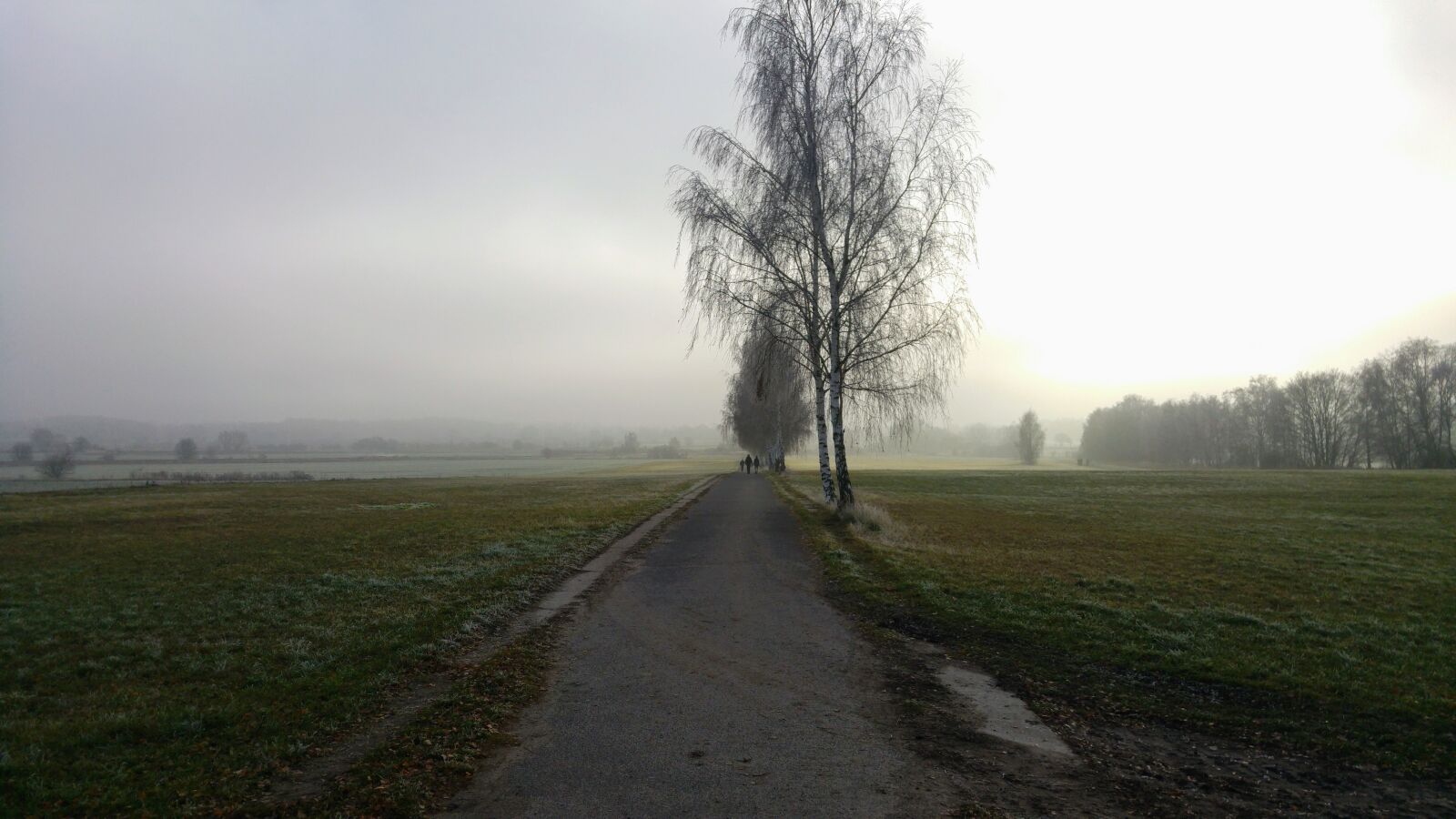 LG G4 sample photo. Germany, berlin, nature photography