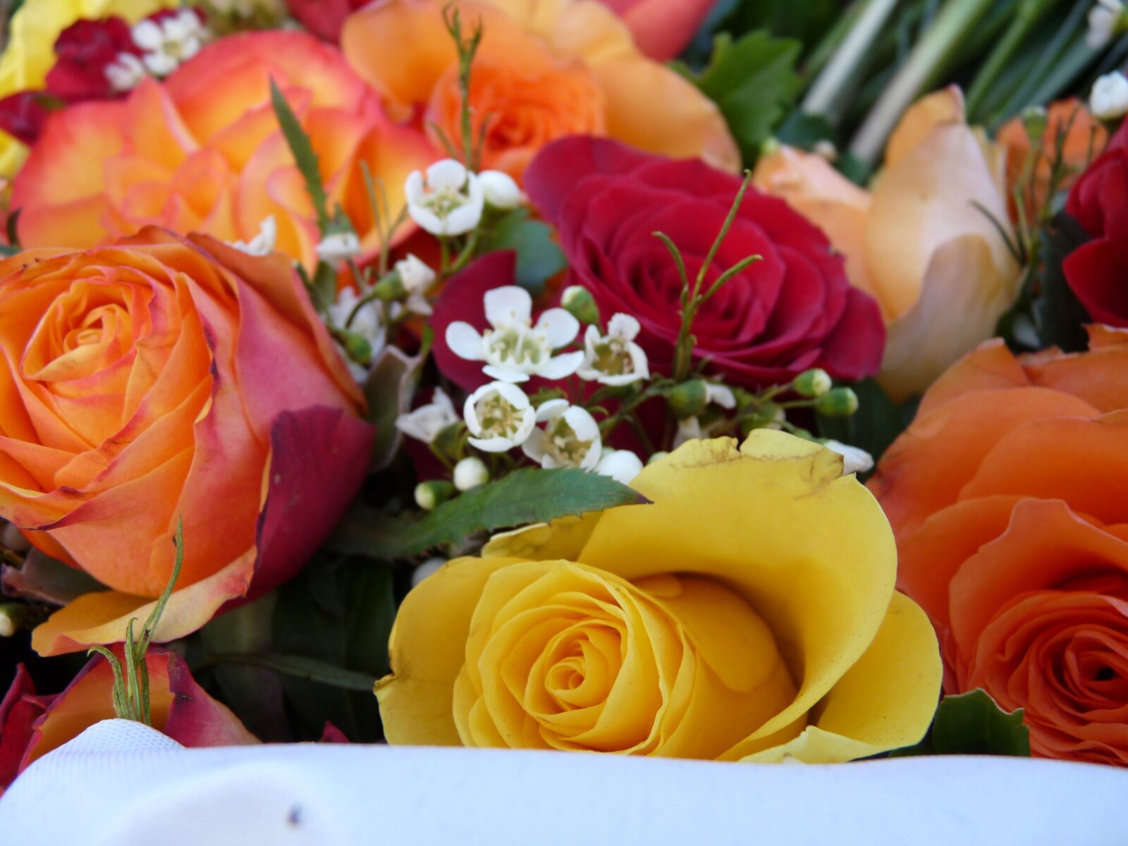 Panasonic Lumix DMC-FZ28 sample photo. Flowers, roses, wreath photography