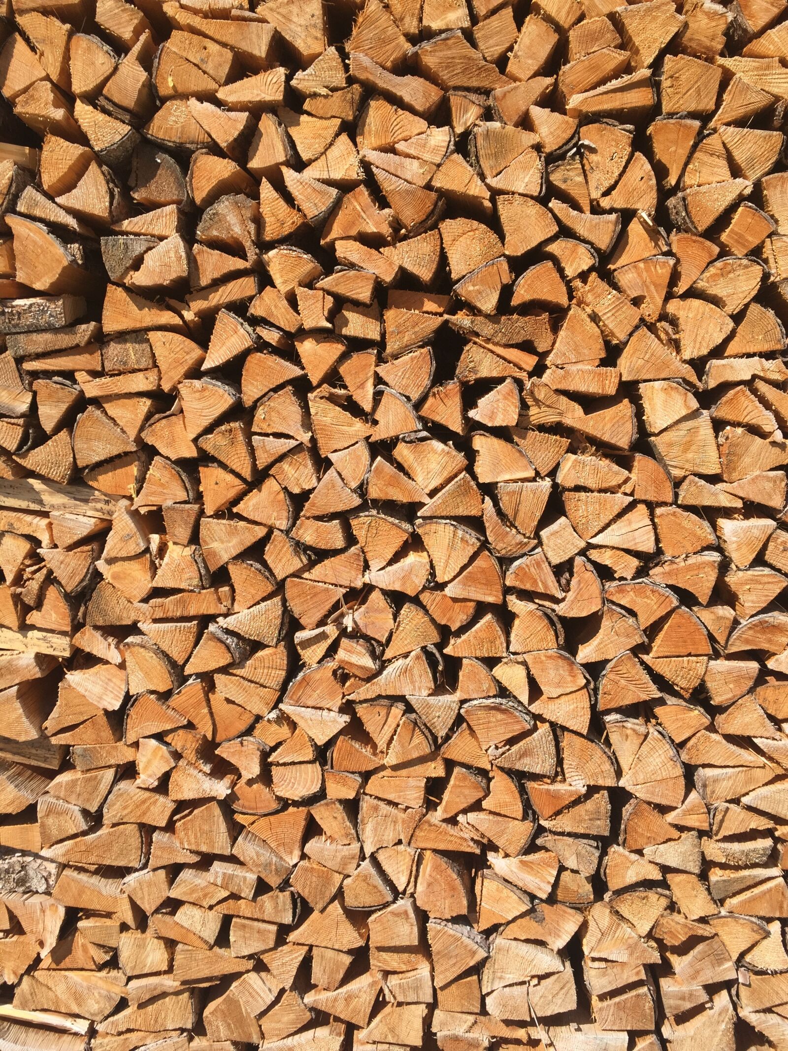 Apple iPhone 6 sample photo. Logs, firewood, lumber photography