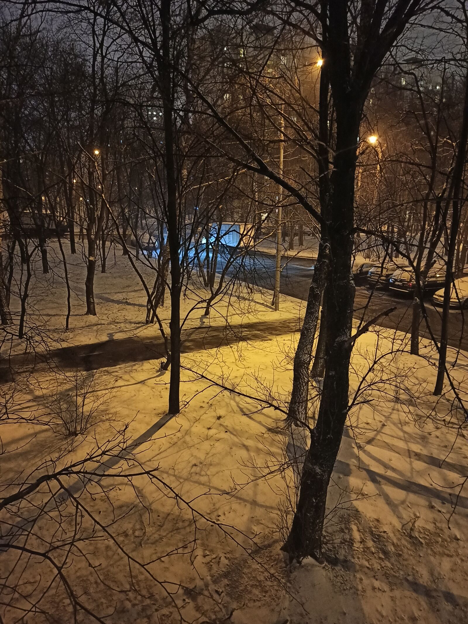 Xiaomi Redmi Note 8 Pro sample photo. Winter, night, winter night photography