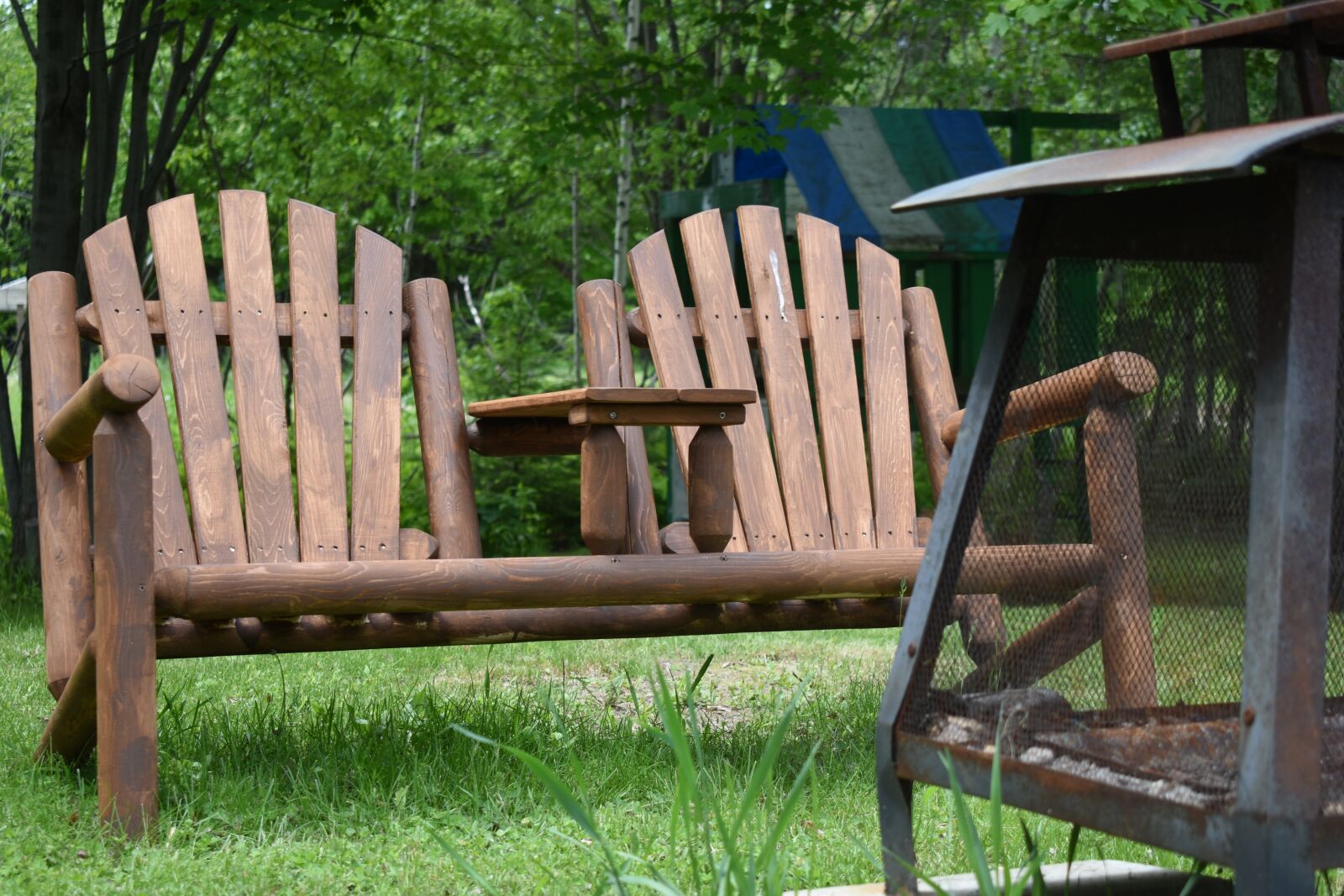 Nikon D3400 sample photo. Wooden, nature, green photography