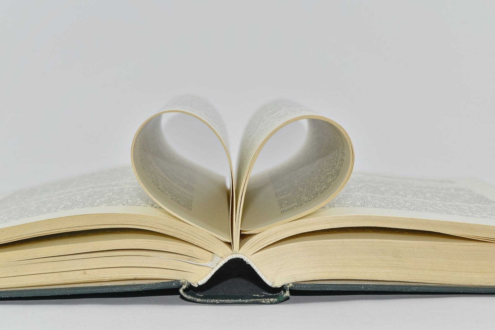 Nikon D5500 sample photo. Book, hardcover, novel, page photography