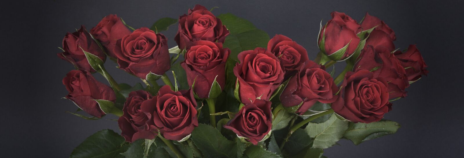 Nikon D7100 sample photo. Roses, bouquet of roses photography