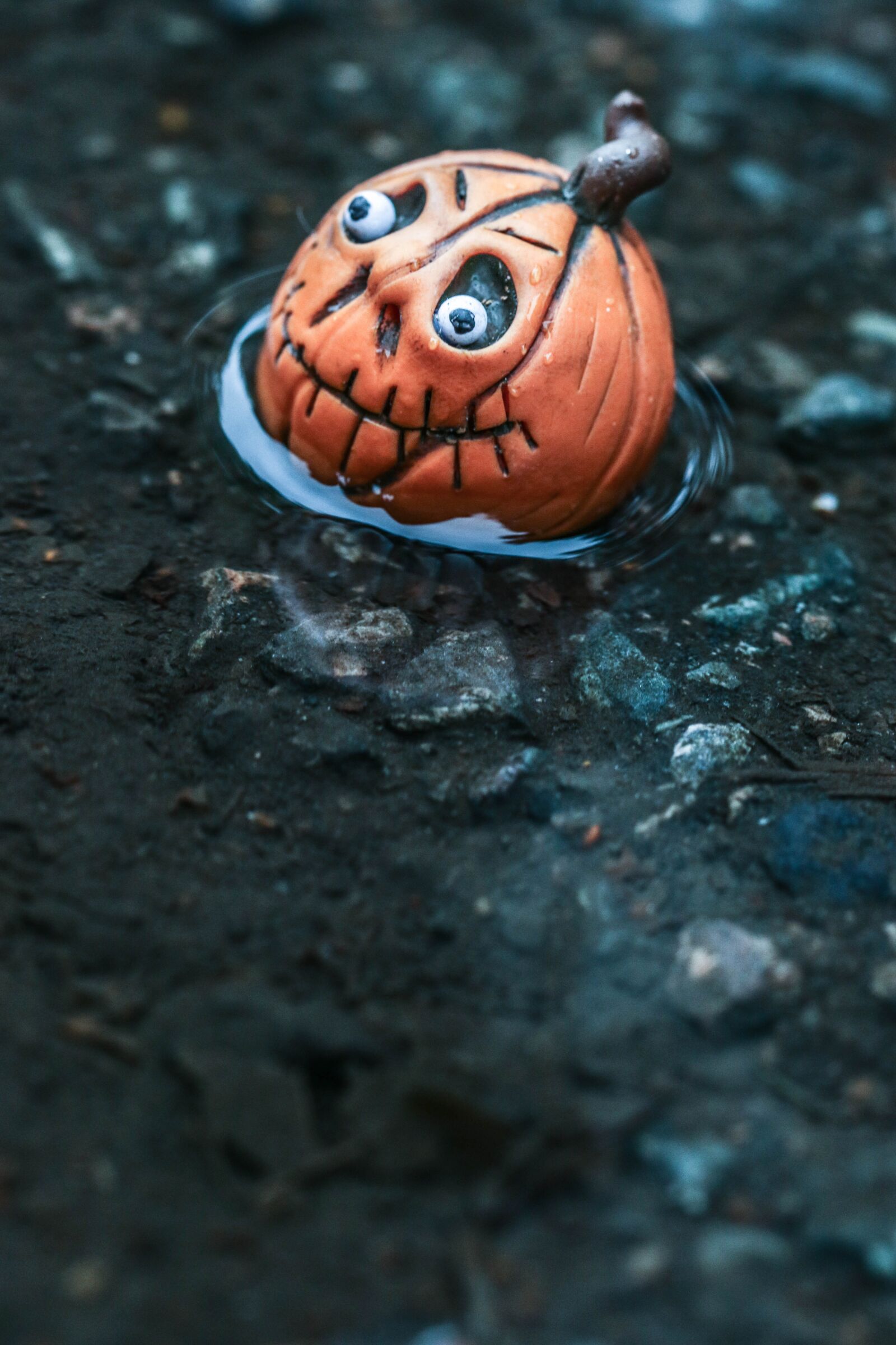 Canon EOS 7D Mark II sample photo. Toy, figure, pumpkin photography