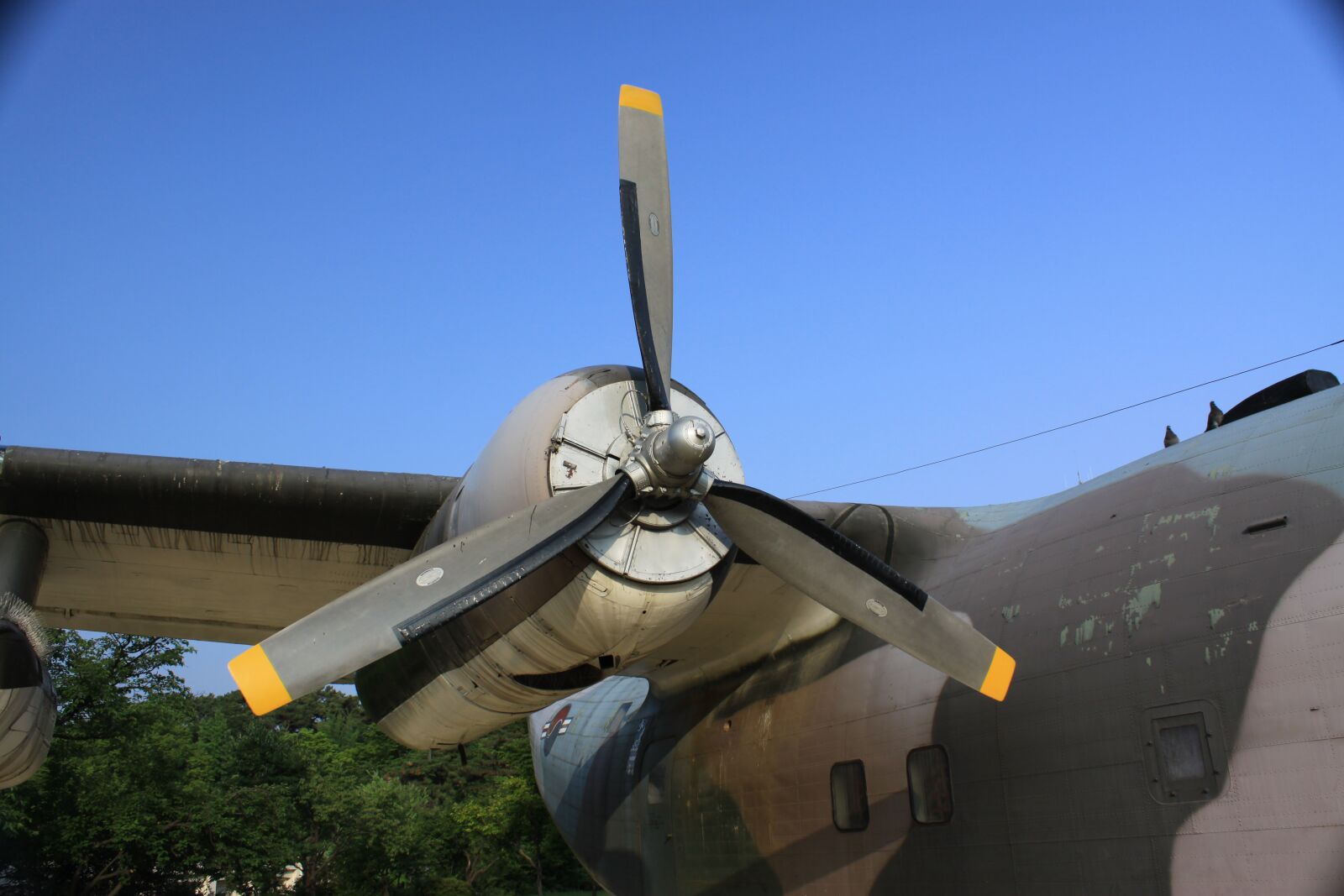 Canon EOS 50D sample photo. Propeller, plane, sky photography