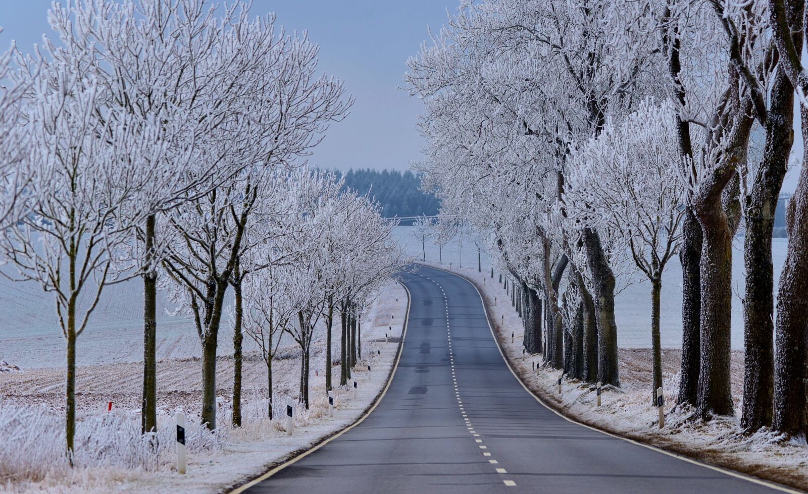 Nikon D600 sample photo. Snowy, winter, frost photography