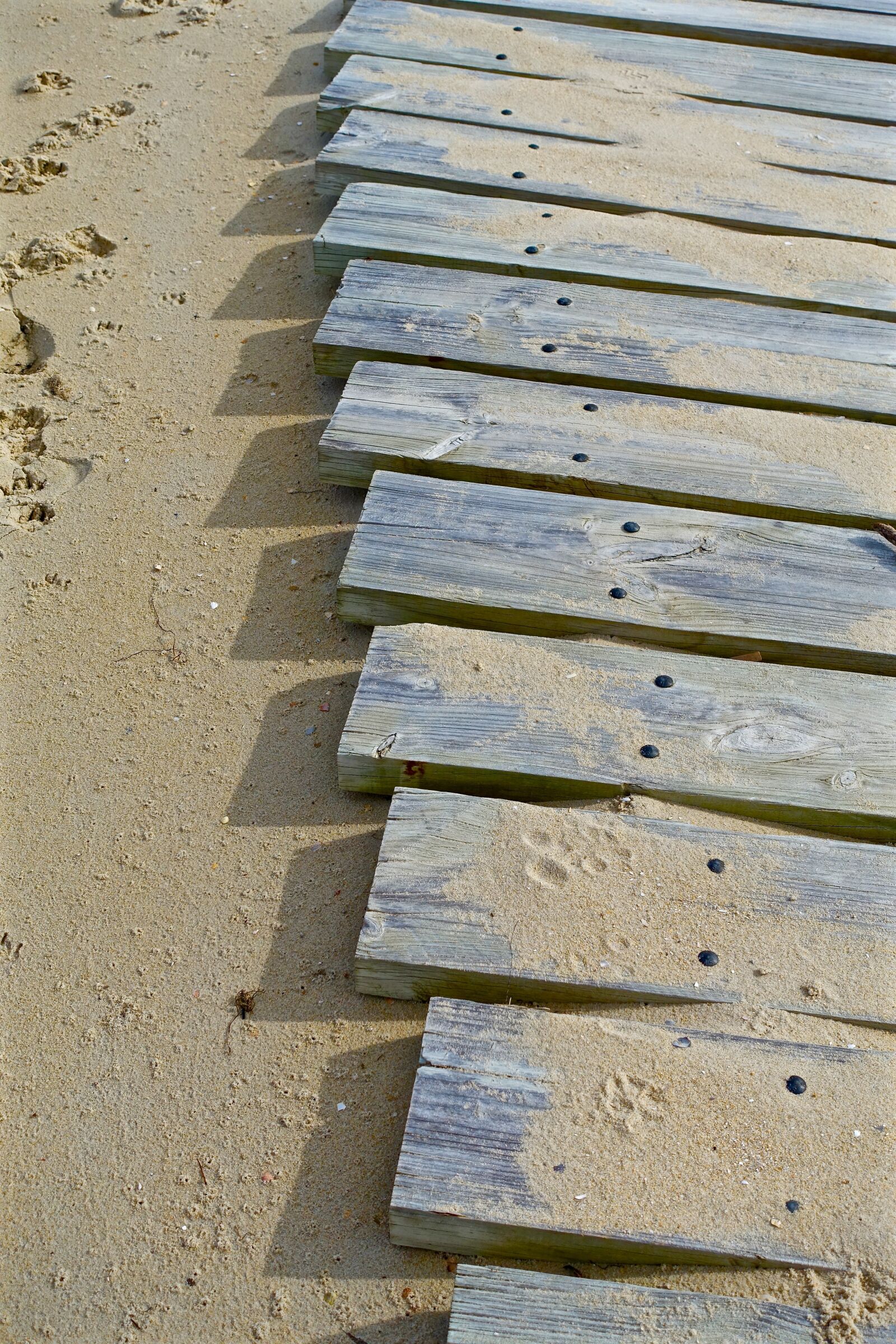 Sony Cyber-shot DSC-RX100 III sample photo. Path, planks, wooden photography