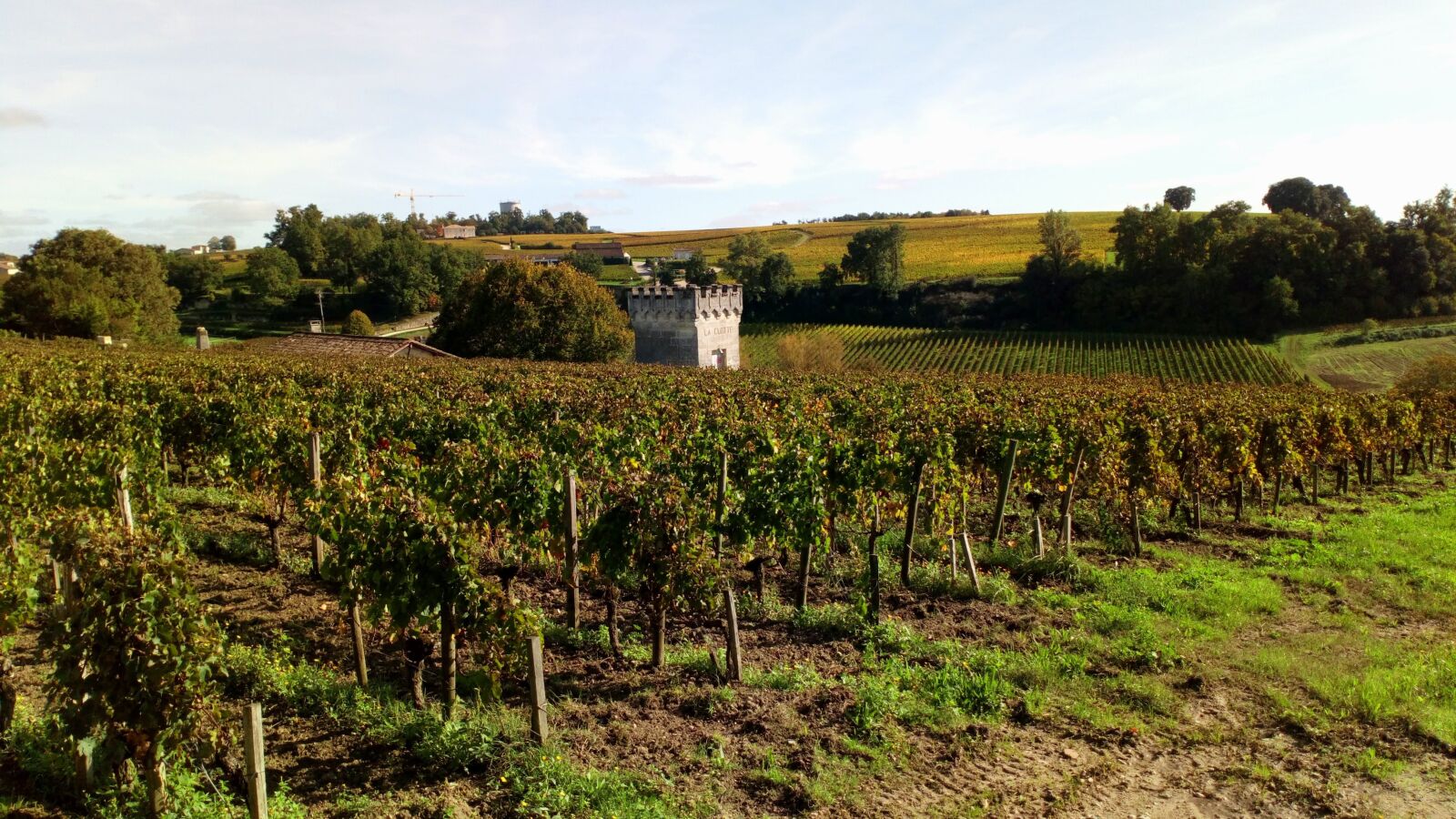 Sony Xperia L1 sample photo. Vineyards, burgundy, saint emilion photography