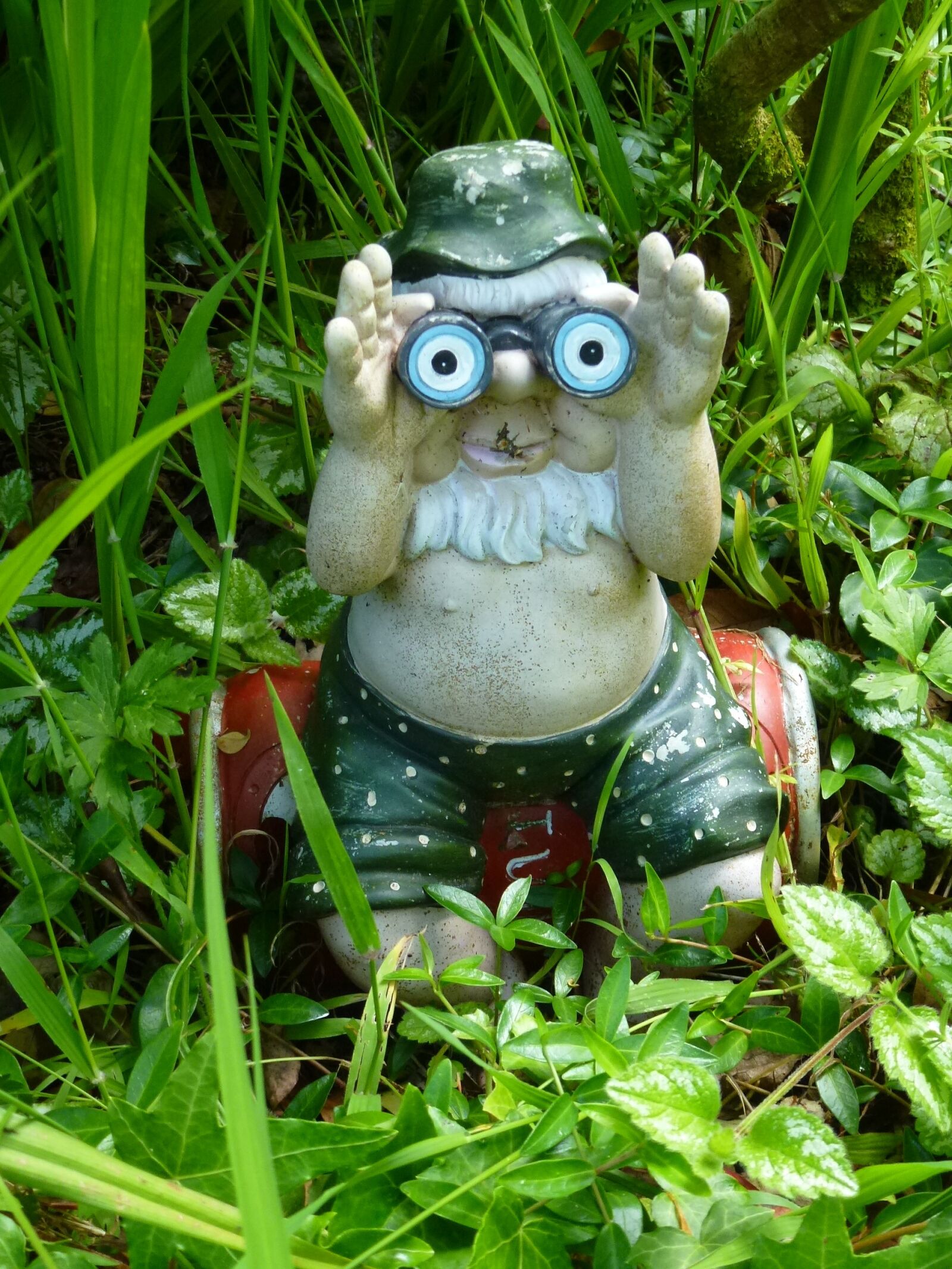 Panasonic Lumix DMC-ZS10 (Lumix DMC-TZ20 / Lumix DMC-TZ22) sample photo. Gnome, garden, binoculars photography
