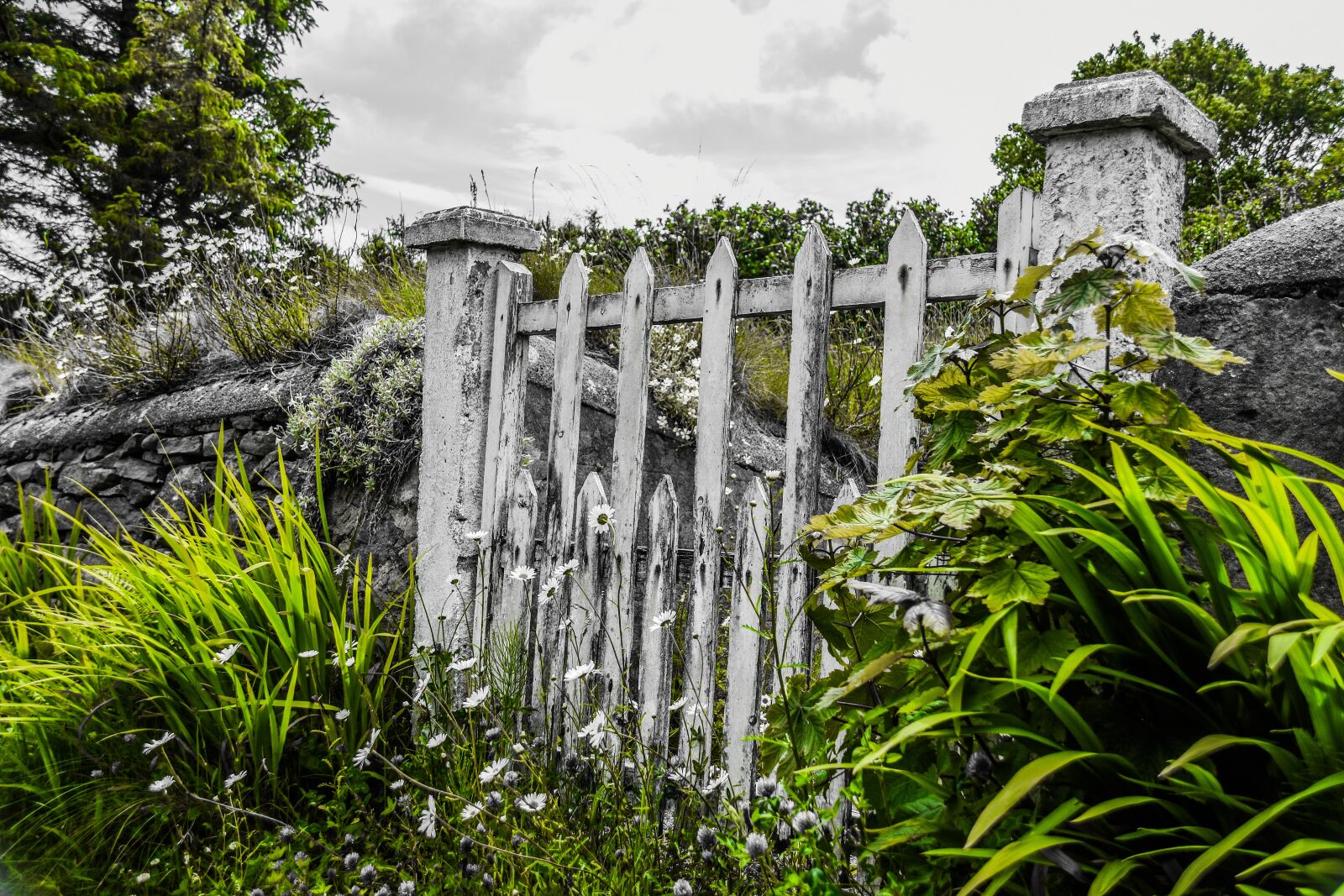 Nikon D7200 sample photo. Ireland, garden gate, flowers photography