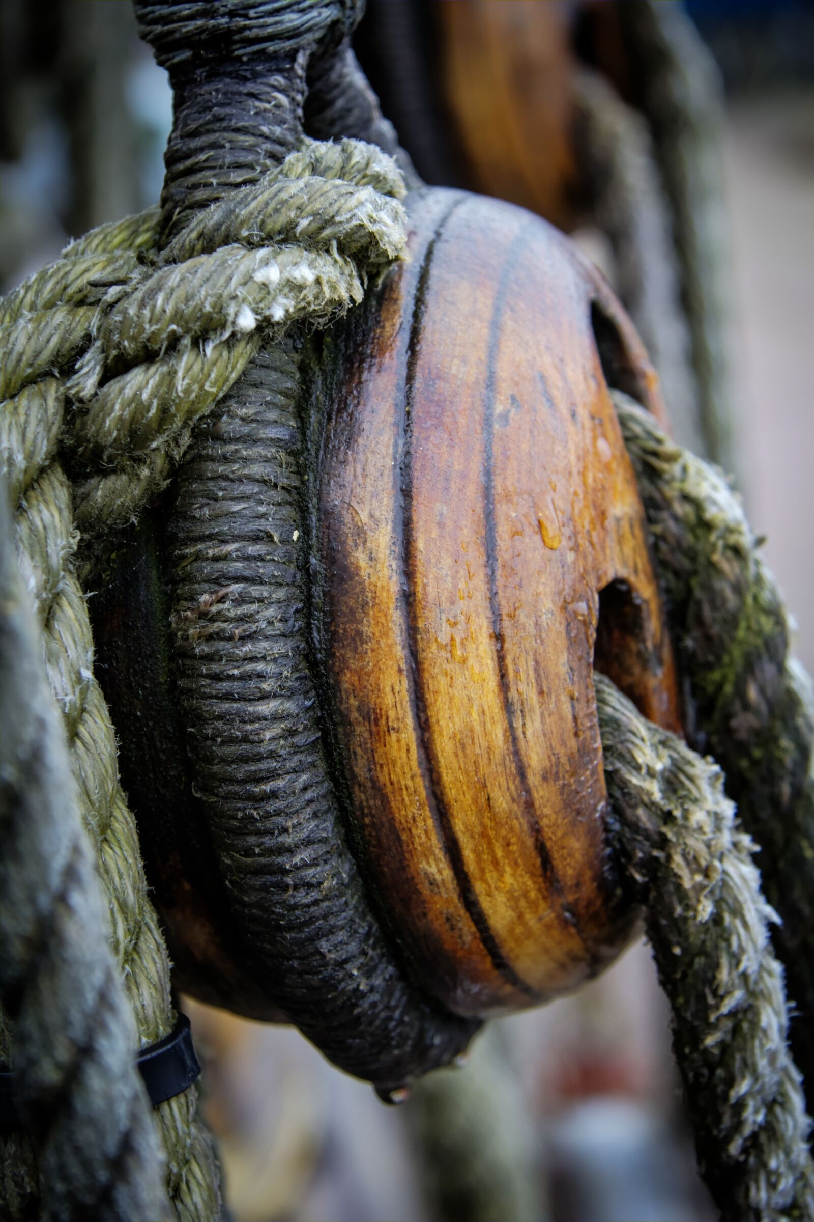 Canon EF-S 17-85mm F4-5.6 IS USM sample photo. Boat, rigging, rope photography