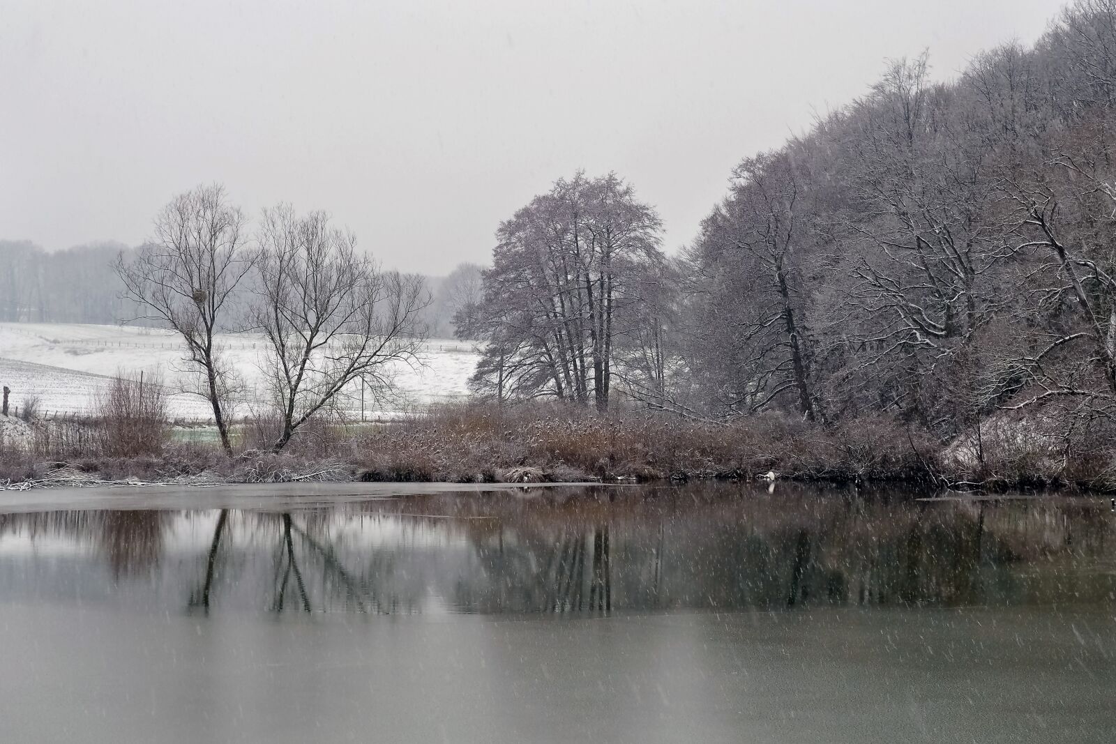 Olympus OM-D E-M10 sample photo. Landscape, winter, lake photography