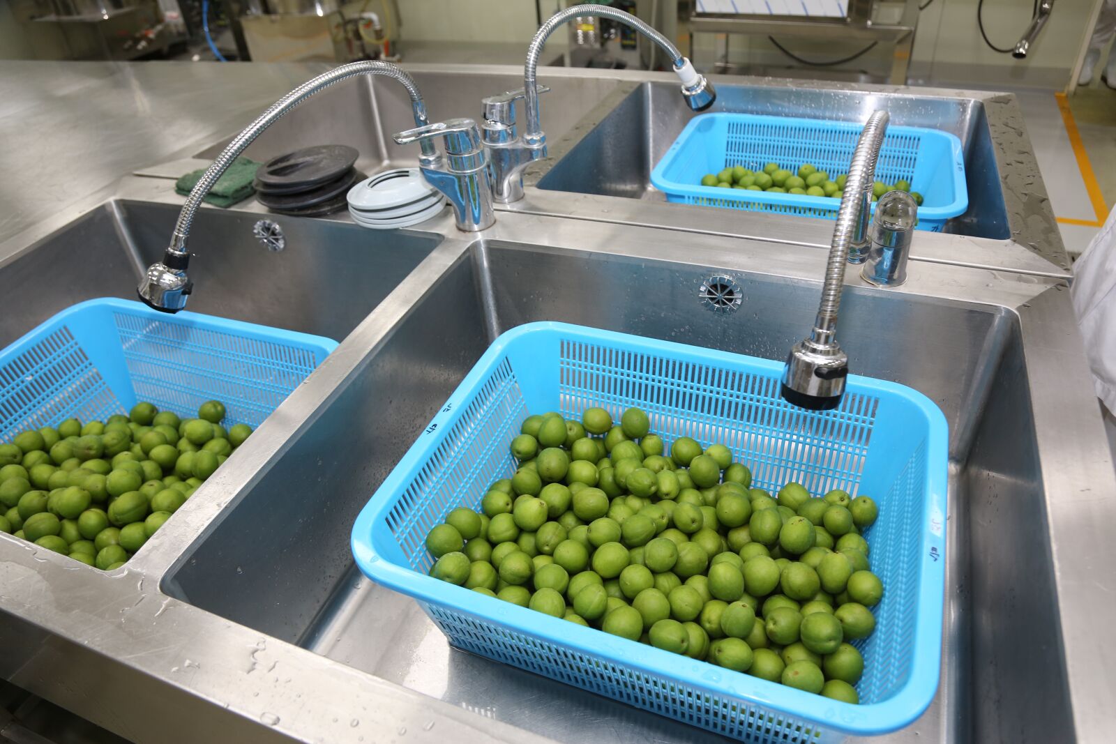 Canon EF 24-105mm F4L IS USM sample photo. Plum, processing, agricultural products photography