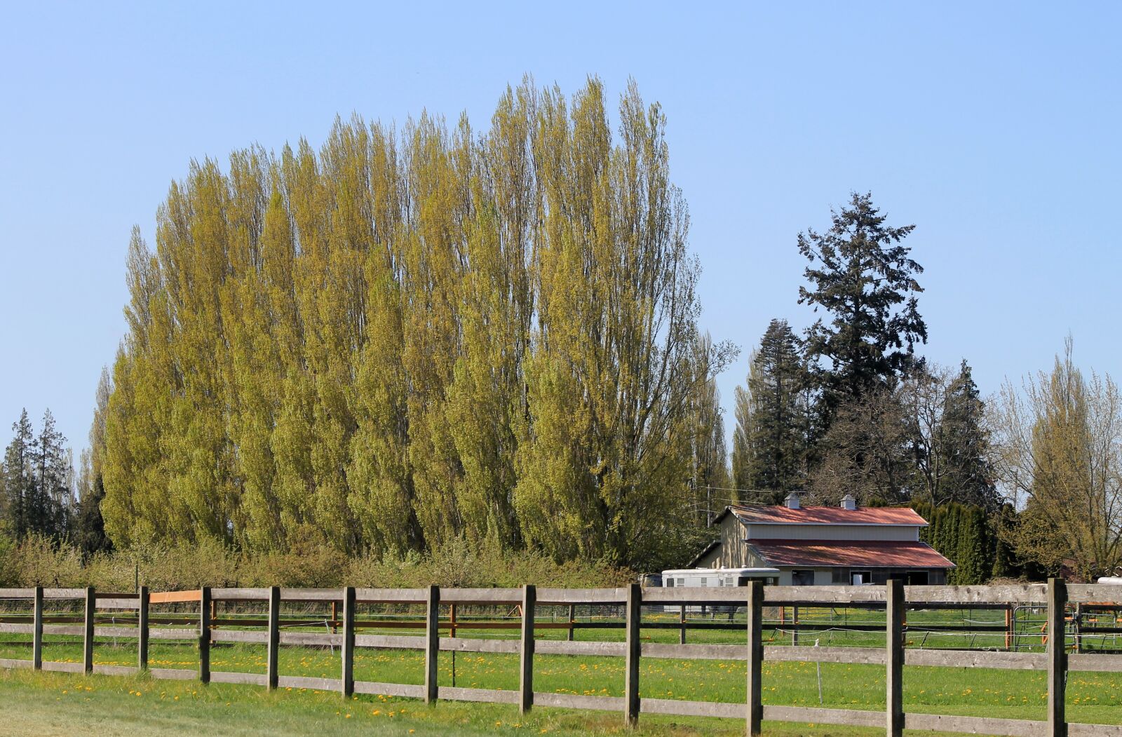 Canon EOS 1100D (EOS Rebel T3 / EOS Kiss X50) sample photo. Farm, field, barn photography
