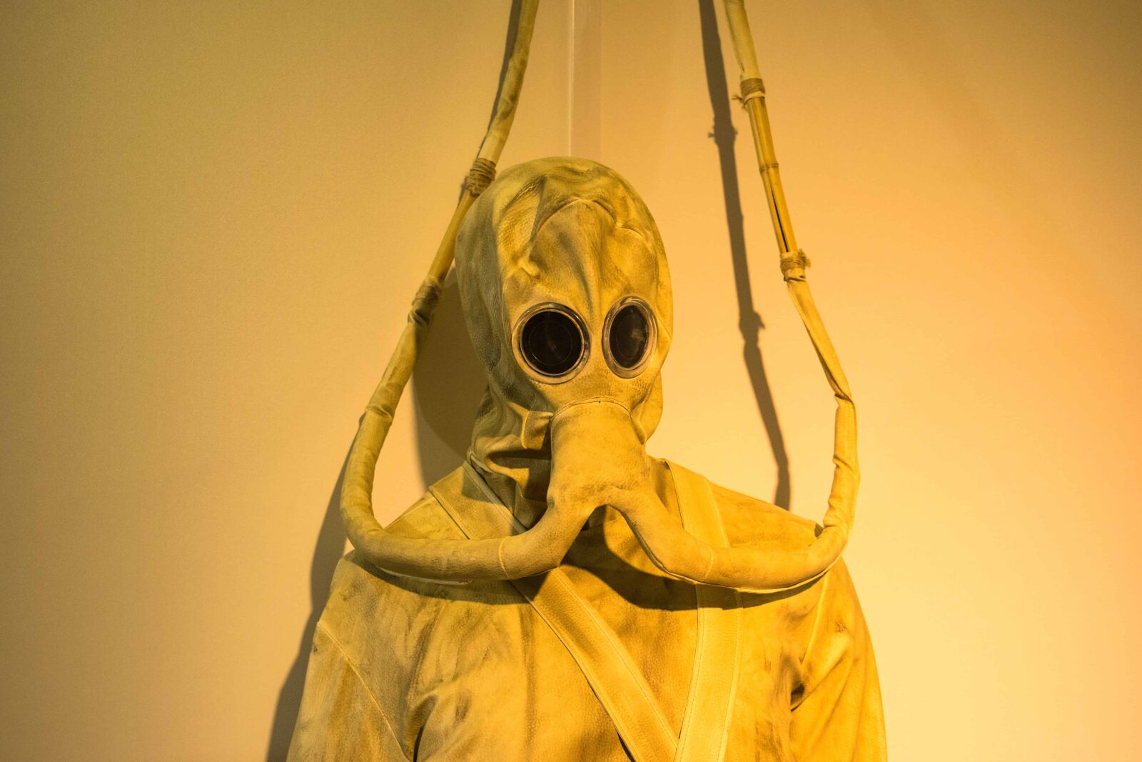Nikon D3300 sample photo. Suit, object, protection, mask photography