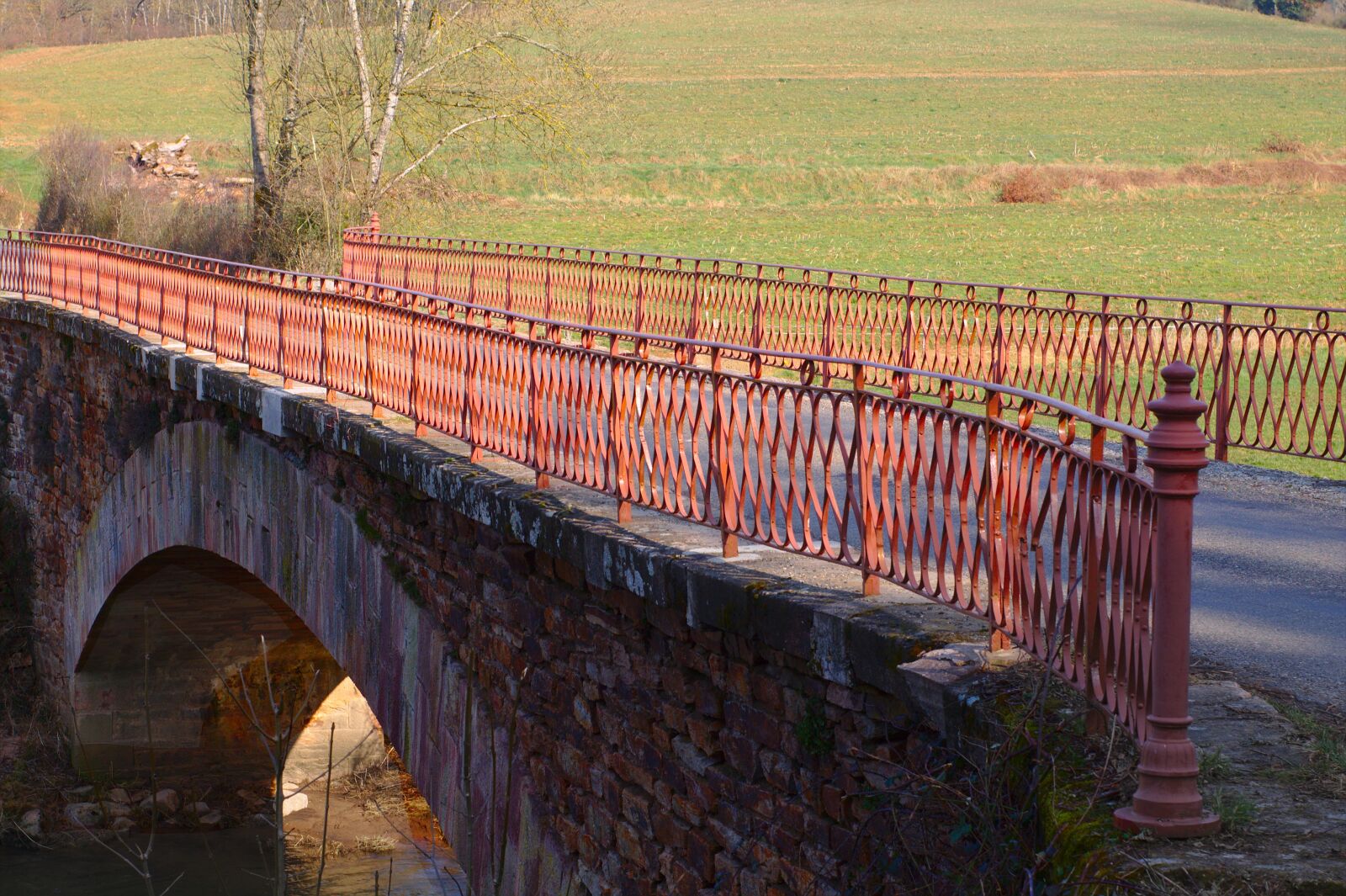 Canon EOS 1100D (EOS Rebel T3 / EOS Kiss X50) sample photo. Bridge, red, nature photography