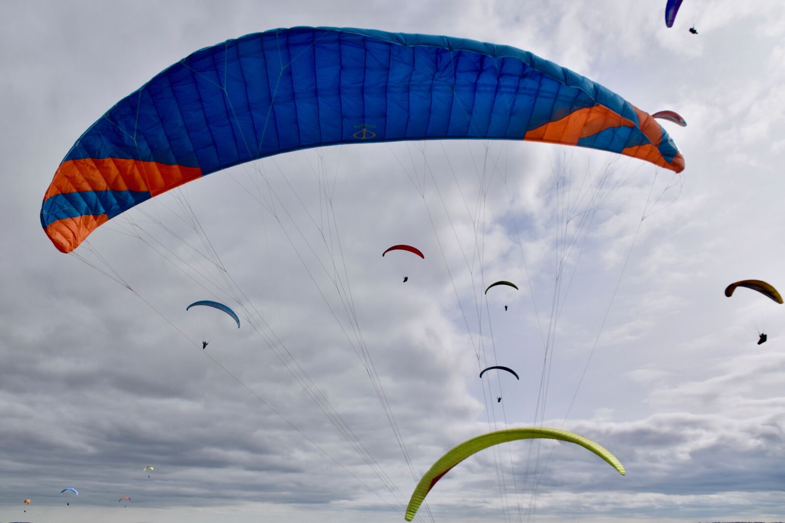 Nikon D5600 sample photo. Paraglider sails, paraglider wings photography