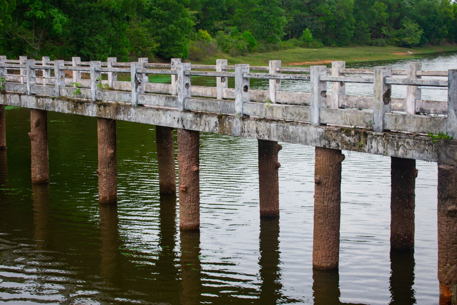 Nikon D3400 sample photo. Bridge, water, vietnam photography