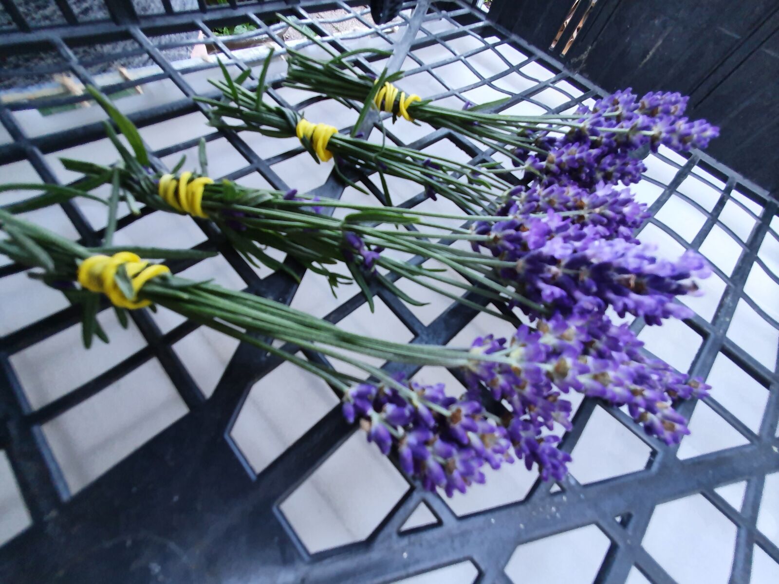 Samsung Galaxy S10 sample photo. Lavender, drying, sleep photography