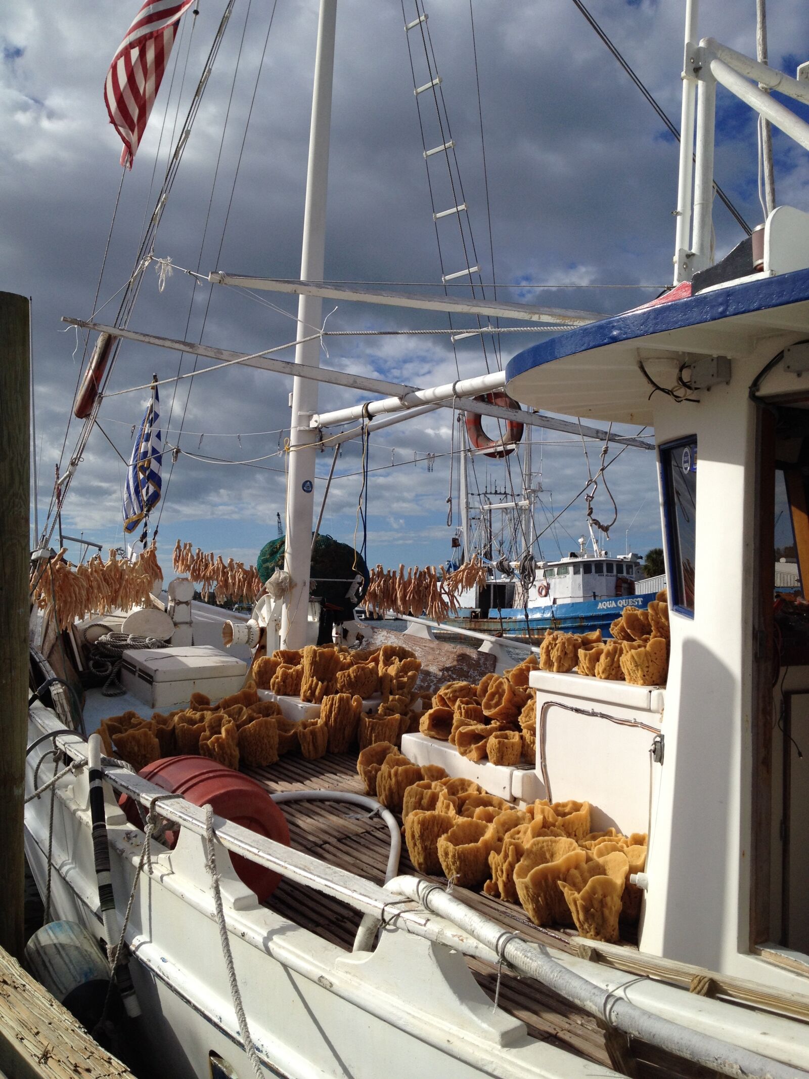 iPhone 4S back camera 4.28mm f/2.4 sample photo. Tarpon springs, florida, sponges photography