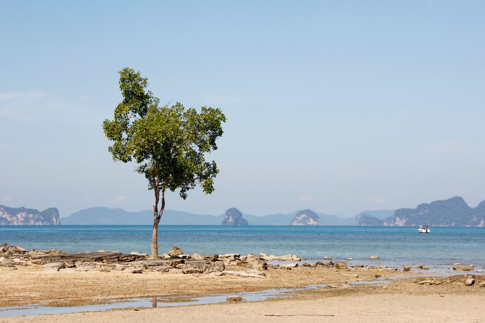 Canon EOS 60D sample photo. Beach, tree, sea photography