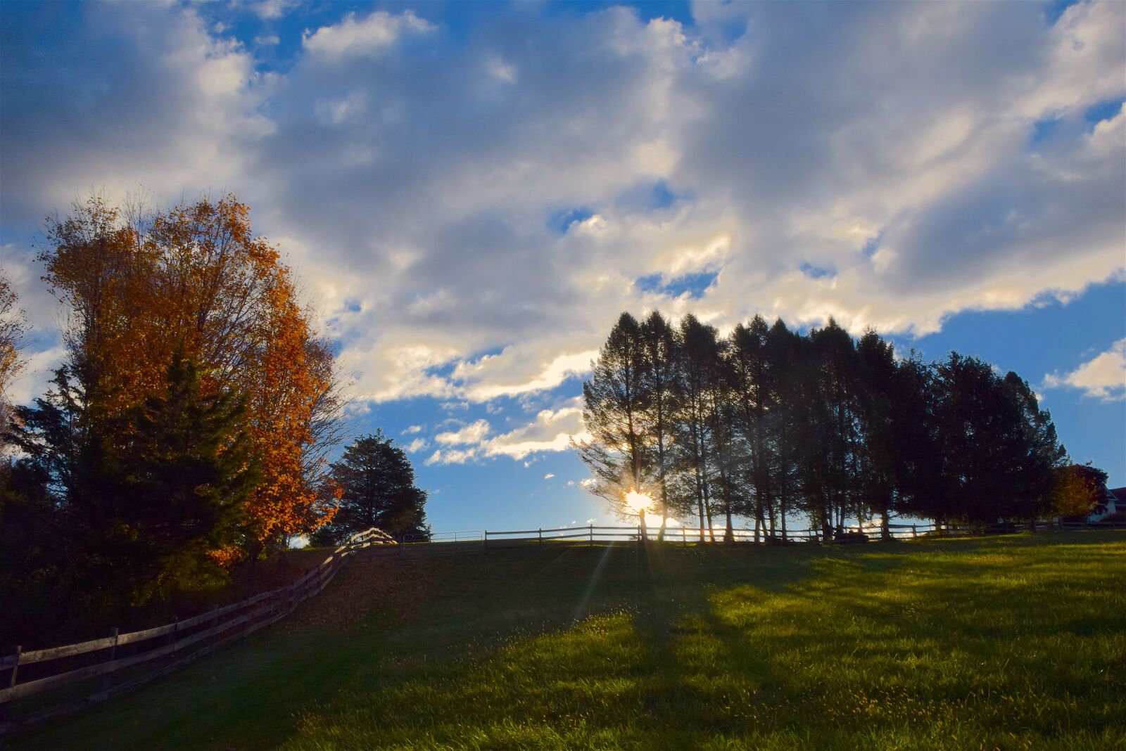 Nikon D3300 sample photo. Sunlight, pine trees, horizon photography