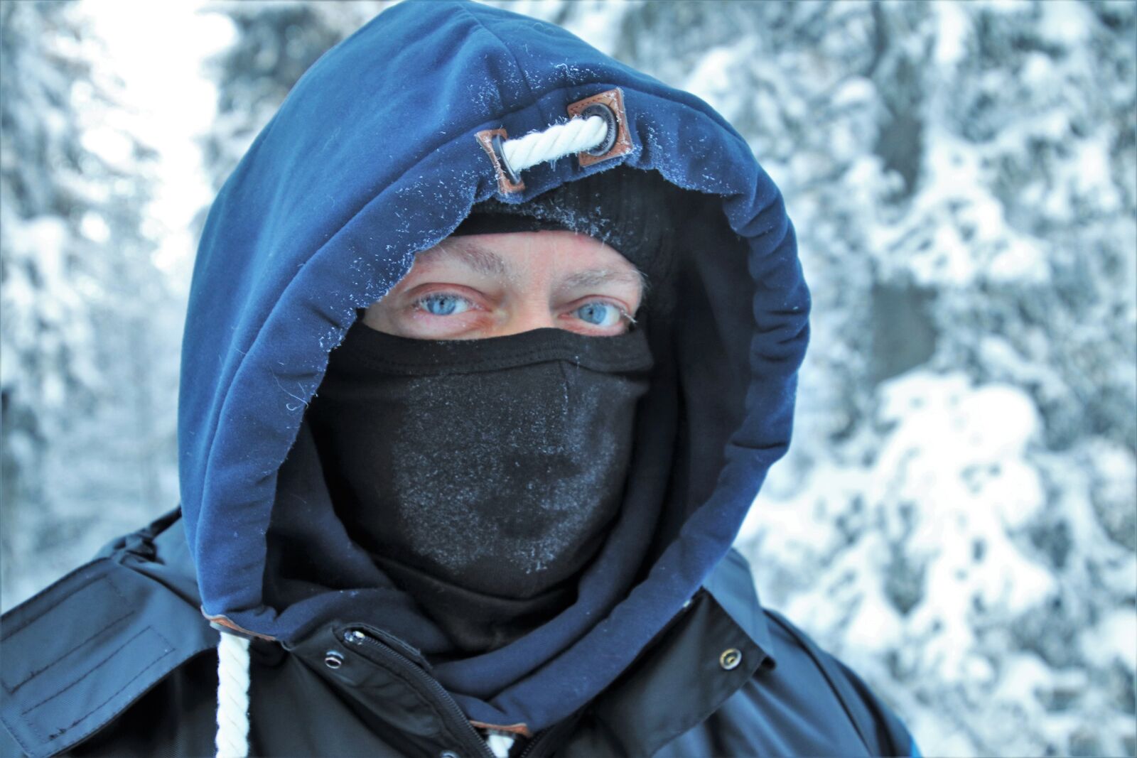 Canon EOS 80D sample photo. Lapland, face, it photography