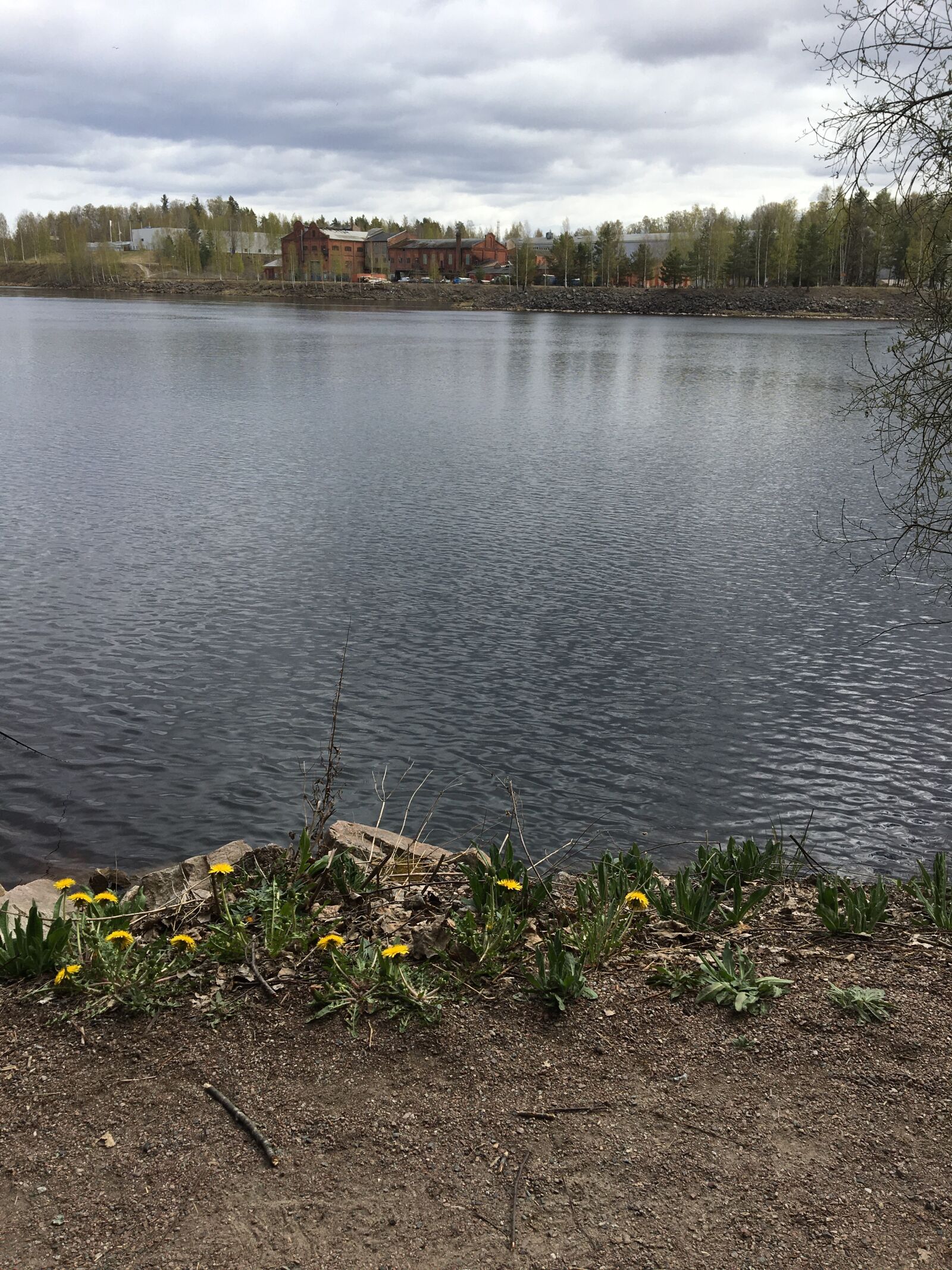 Apple iPhone 6s sample photo. Lakeside, lake, nature photography