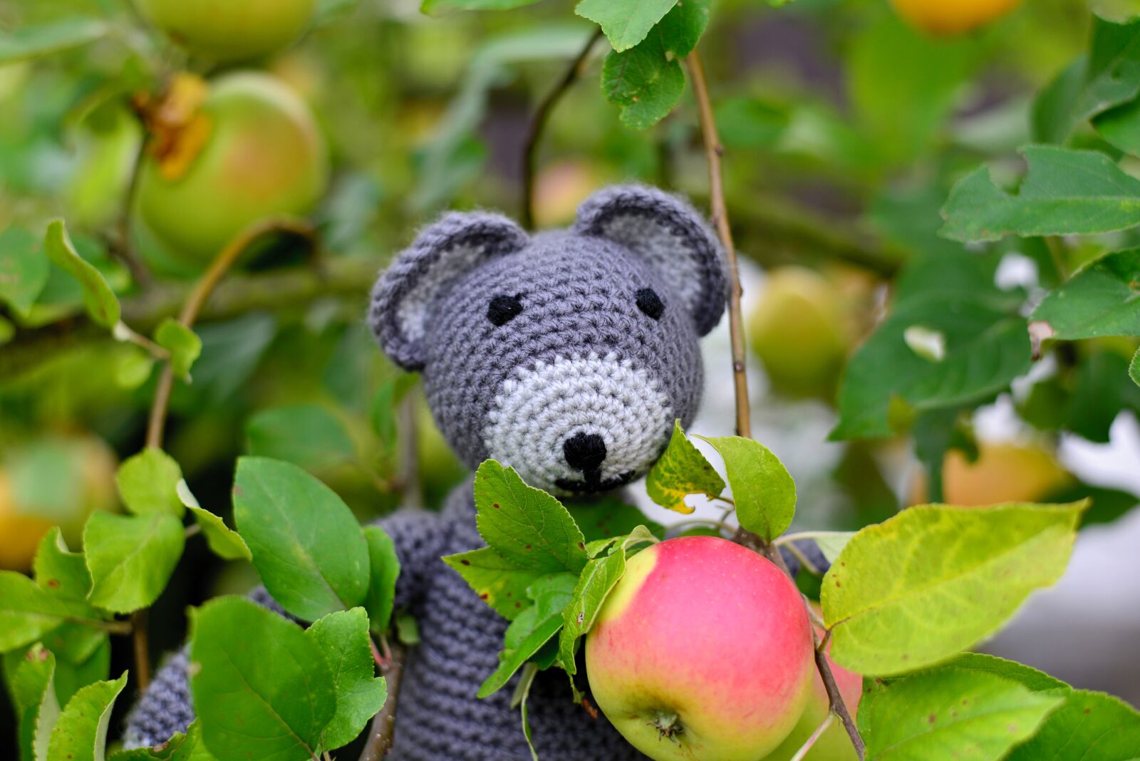 Nikon D610 sample photo. Teddy bear, teddy, crochet photography