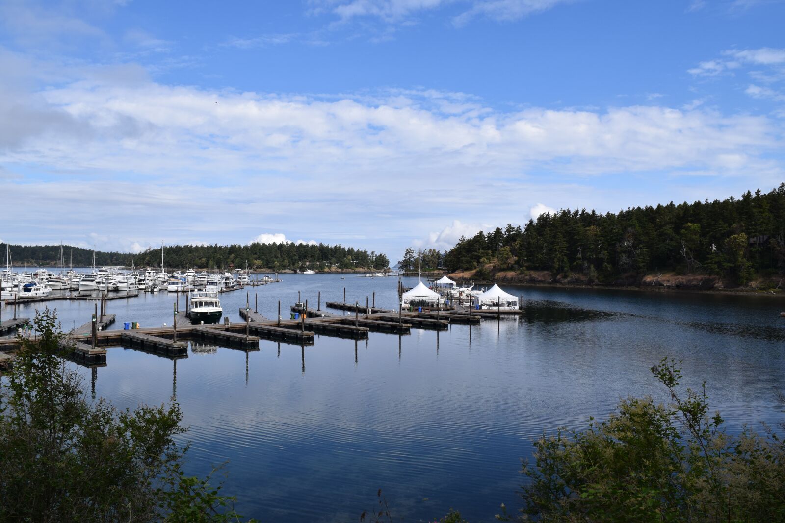 Nikon D3300 sample photo. Harbor, washington, boats photography
