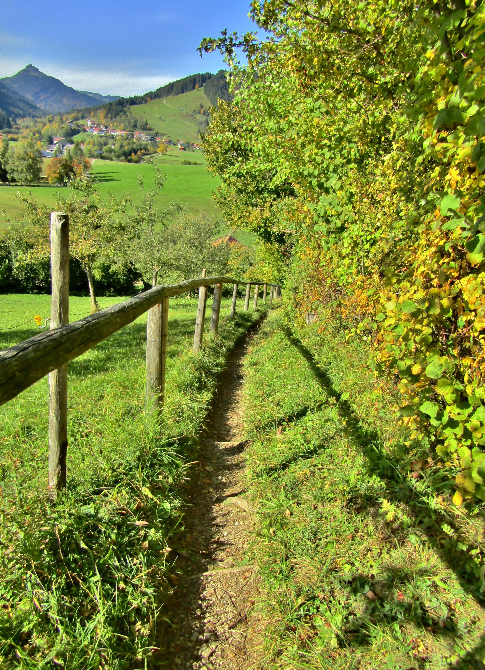 Canon POWERSHOT SX432 IS sample photo. Path, away, trail photography