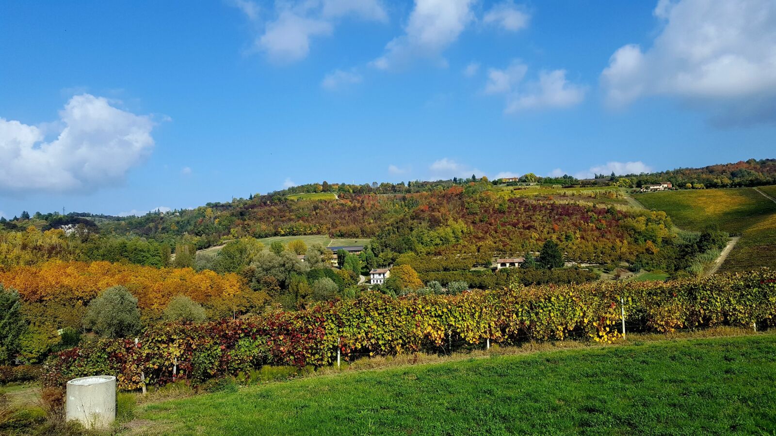 Samsung GALAXY S6 edge sample photo. Monferrato, autumn, campaign photography