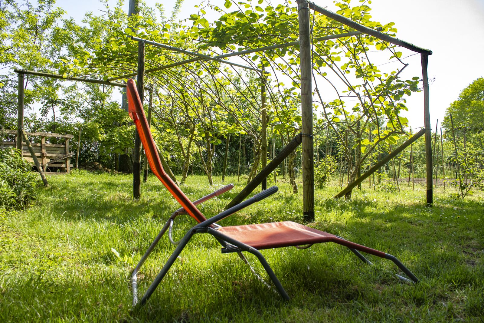 Canon EF-S 18-55mm F3.5-5.6 IS sample photo. Relaxation, garden, campaign photography