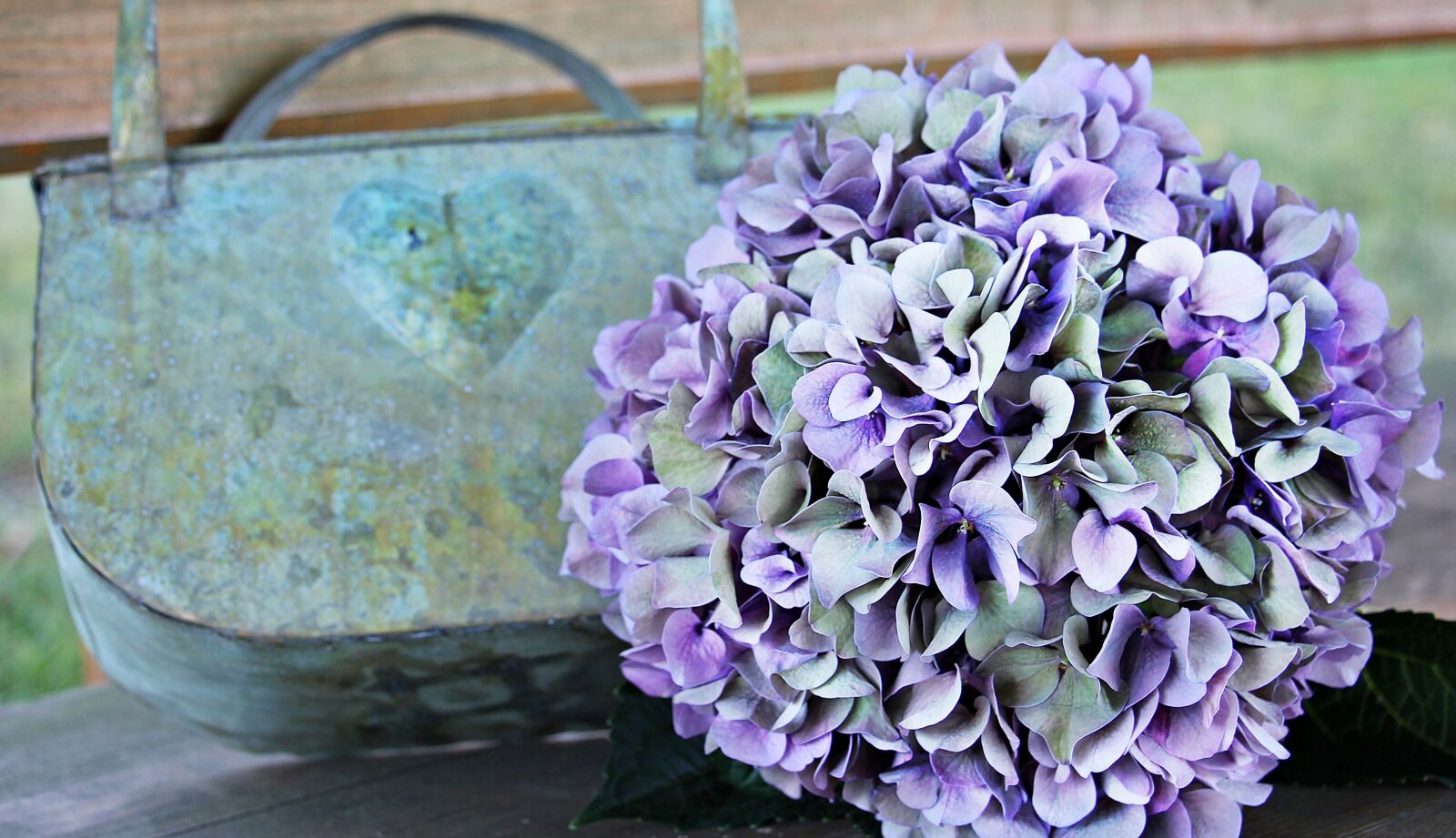 Canon EOS 550D (EOS Rebel T2i / EOS Kiss X4) sample photo. Hydrangea, flower, blossom photography