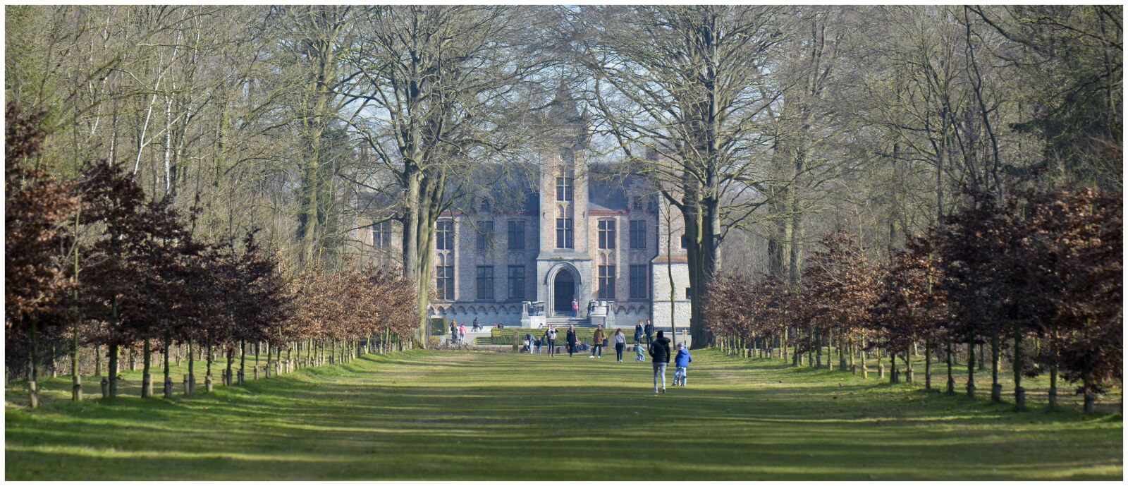Nikon D7100 sample photo. Forest, castle, grass photography