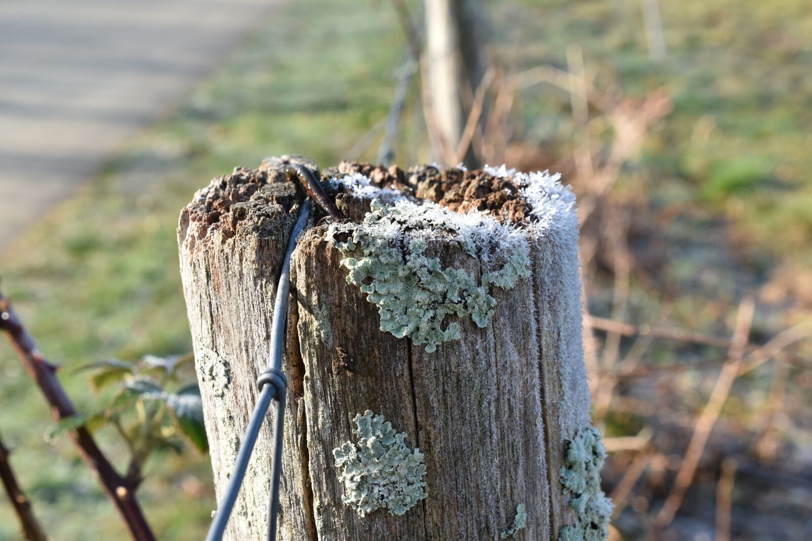 Nikon D5600 sample photo. Picket, closing, wood photography