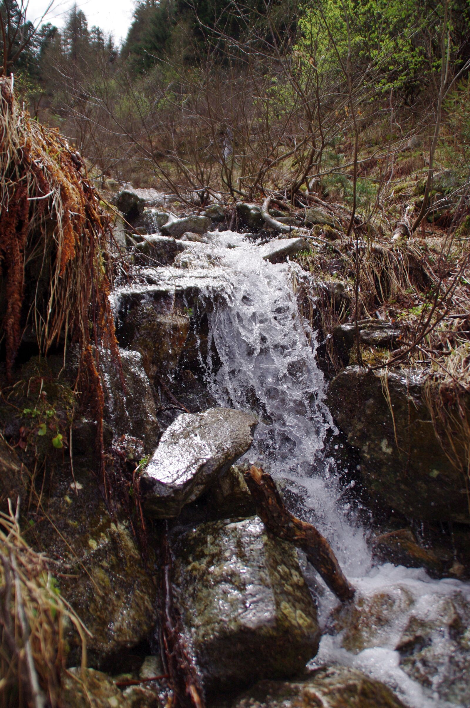 Pentax K-x sample photo. Mountains, bach, nature photography