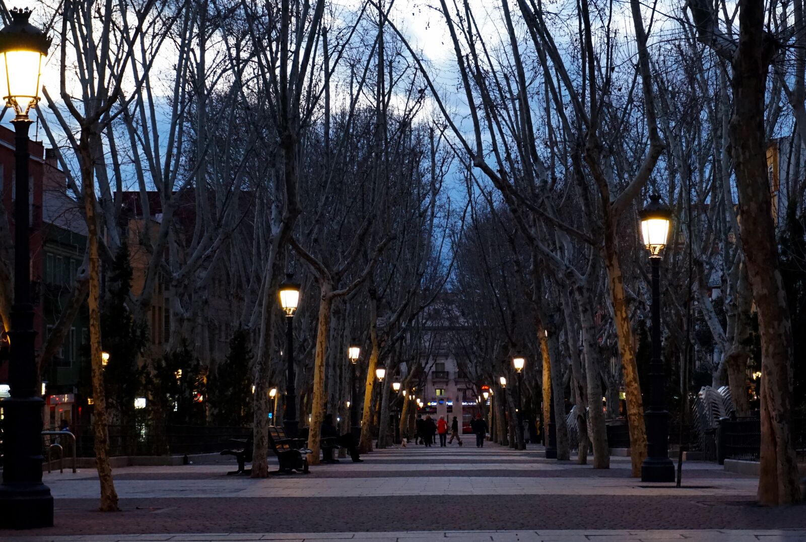 Sony Alpha a5000 (ILCE 5000) sample photo. Madrid, street, night photography