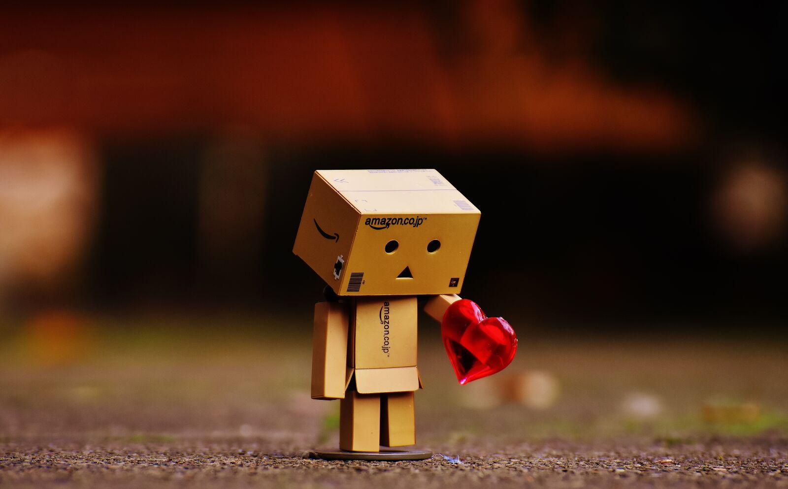Nikon D7200 sample photo. Danbo, figures, love photography